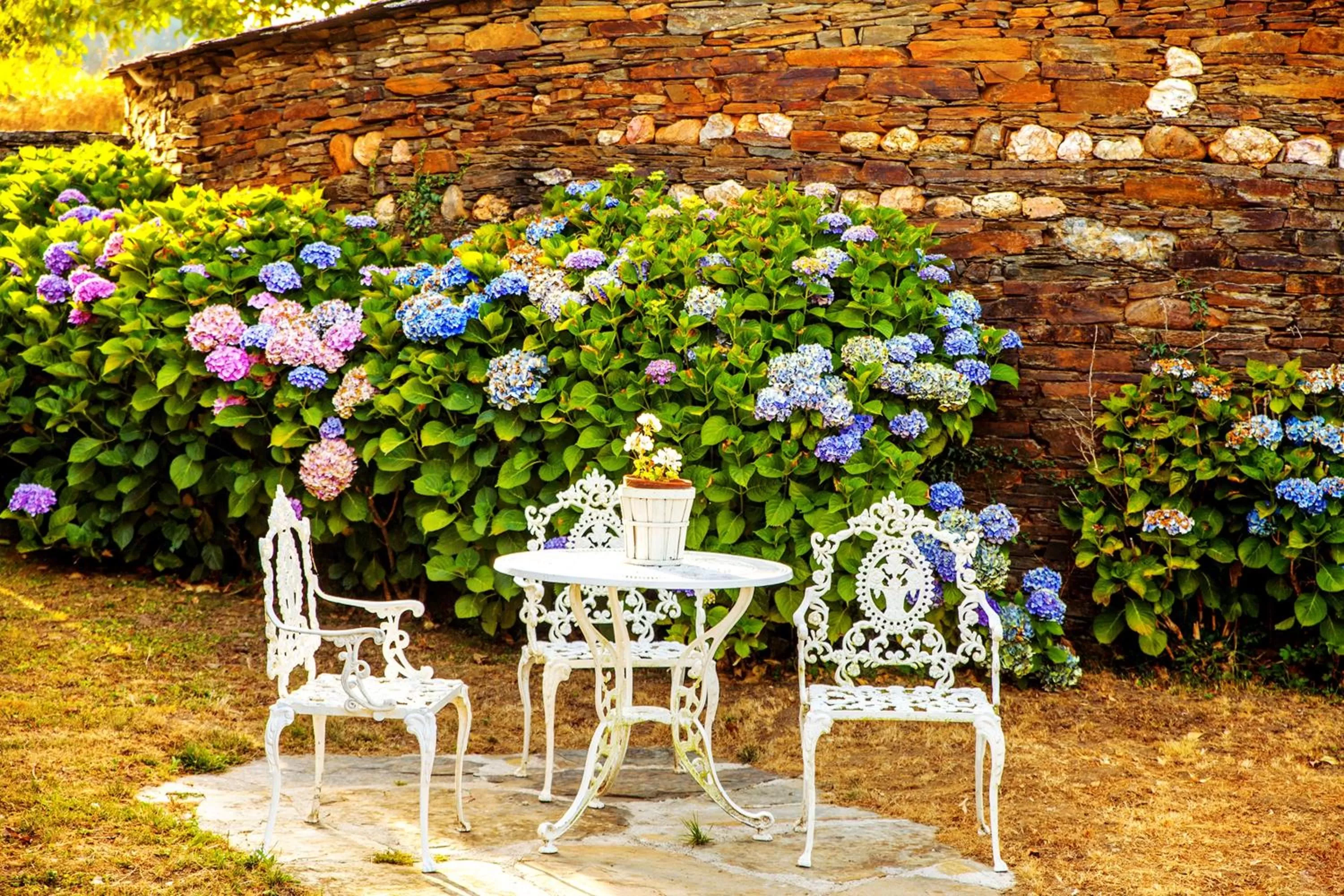 Entertainment in Hotel Casa de Díaz