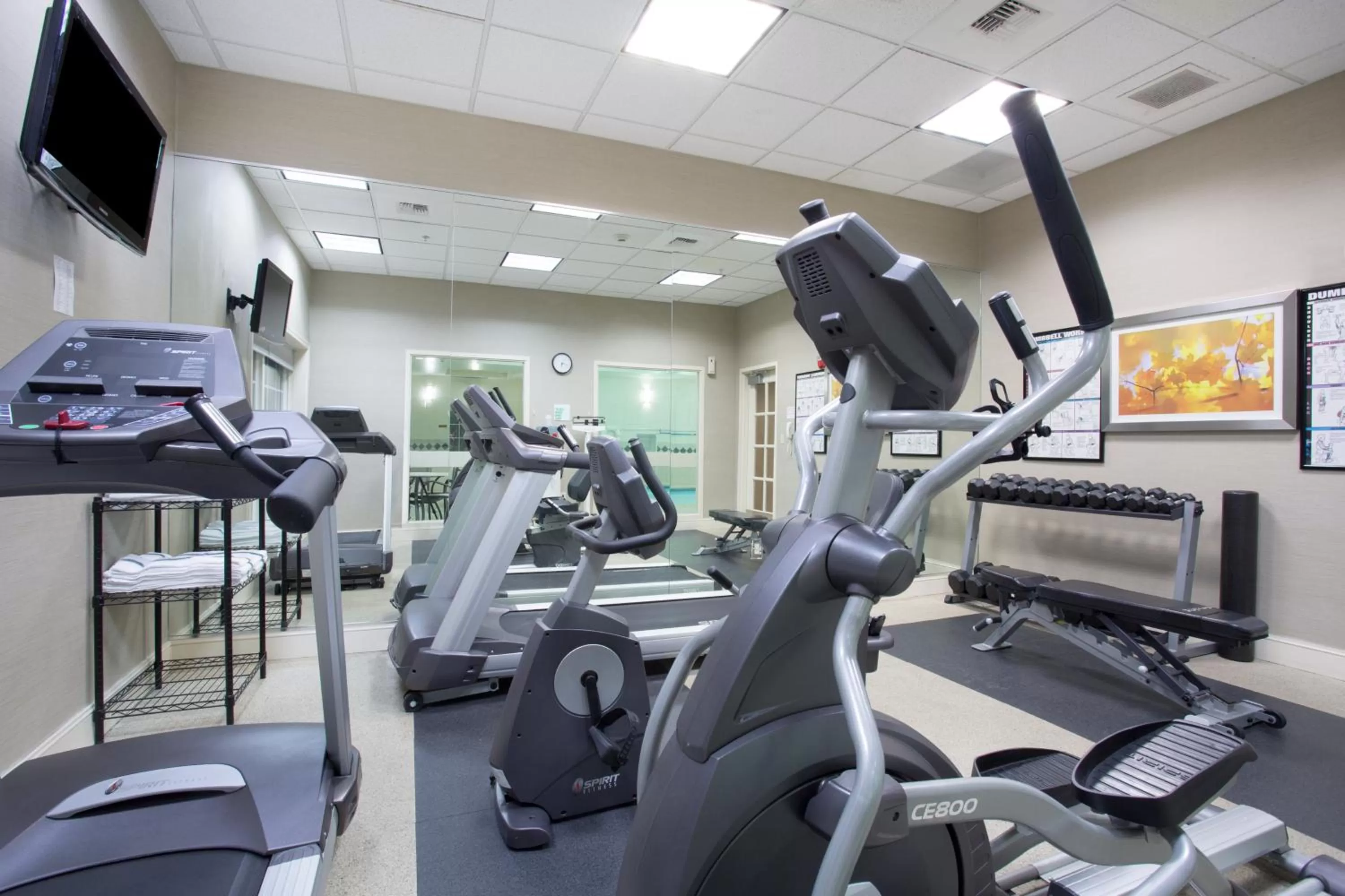 Spa and wellness centre/facilities in Holiday Inn Colorado Springs - Airport by IHG