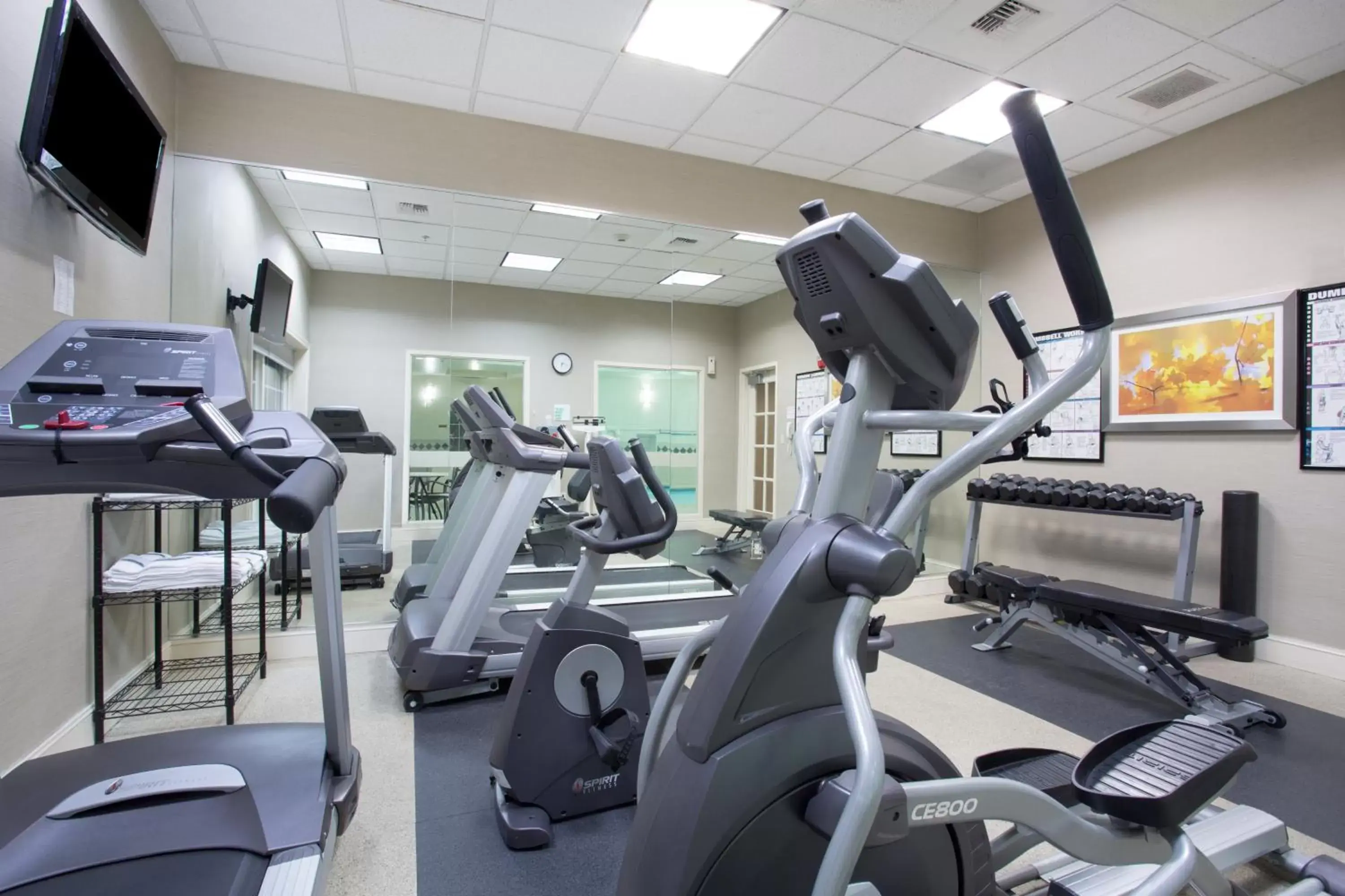 Fitness centre/facilities, Fitness Center/Facilities in Holiday Inn Colorado Springs - Airport, an IHG Hotel