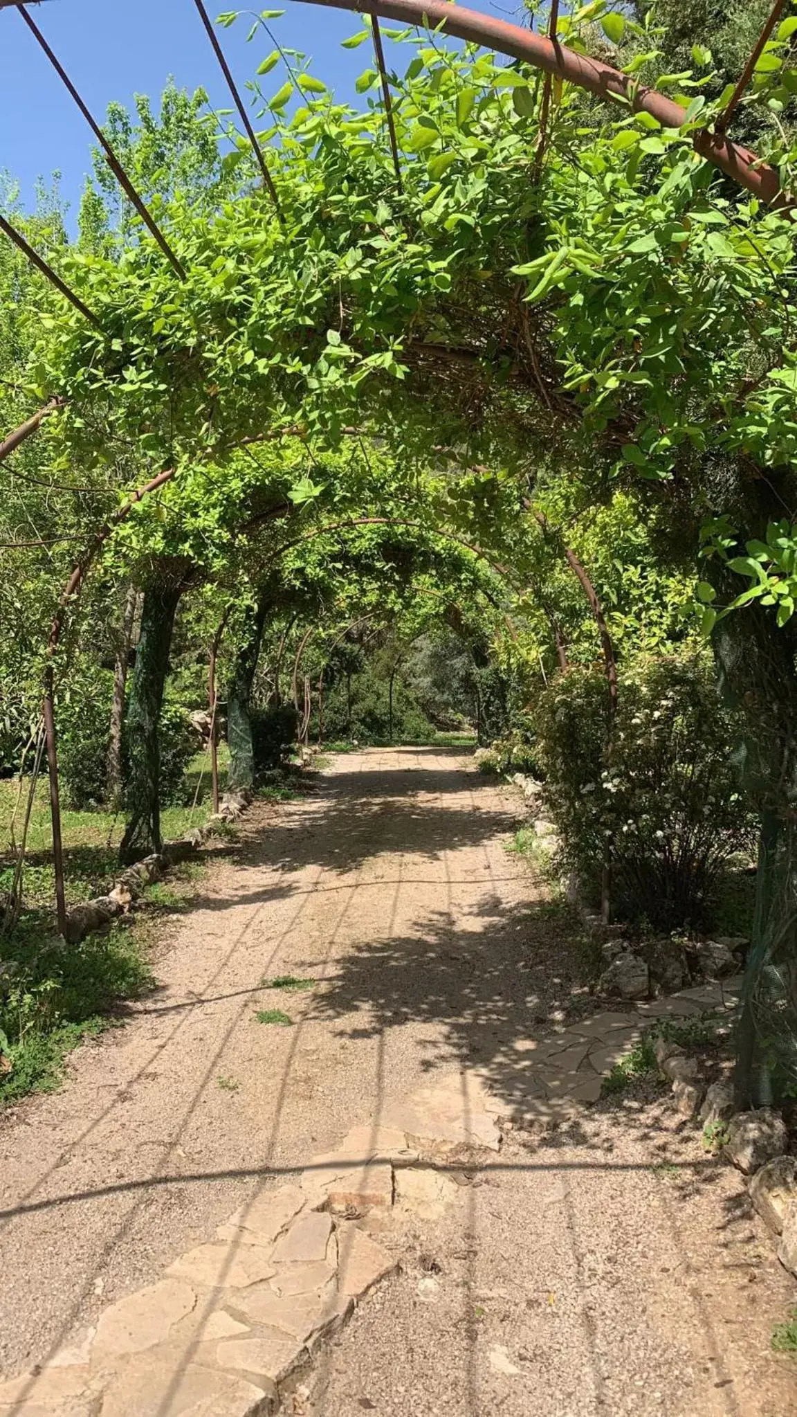 Garden in Casas Rurales Los Algarrobales