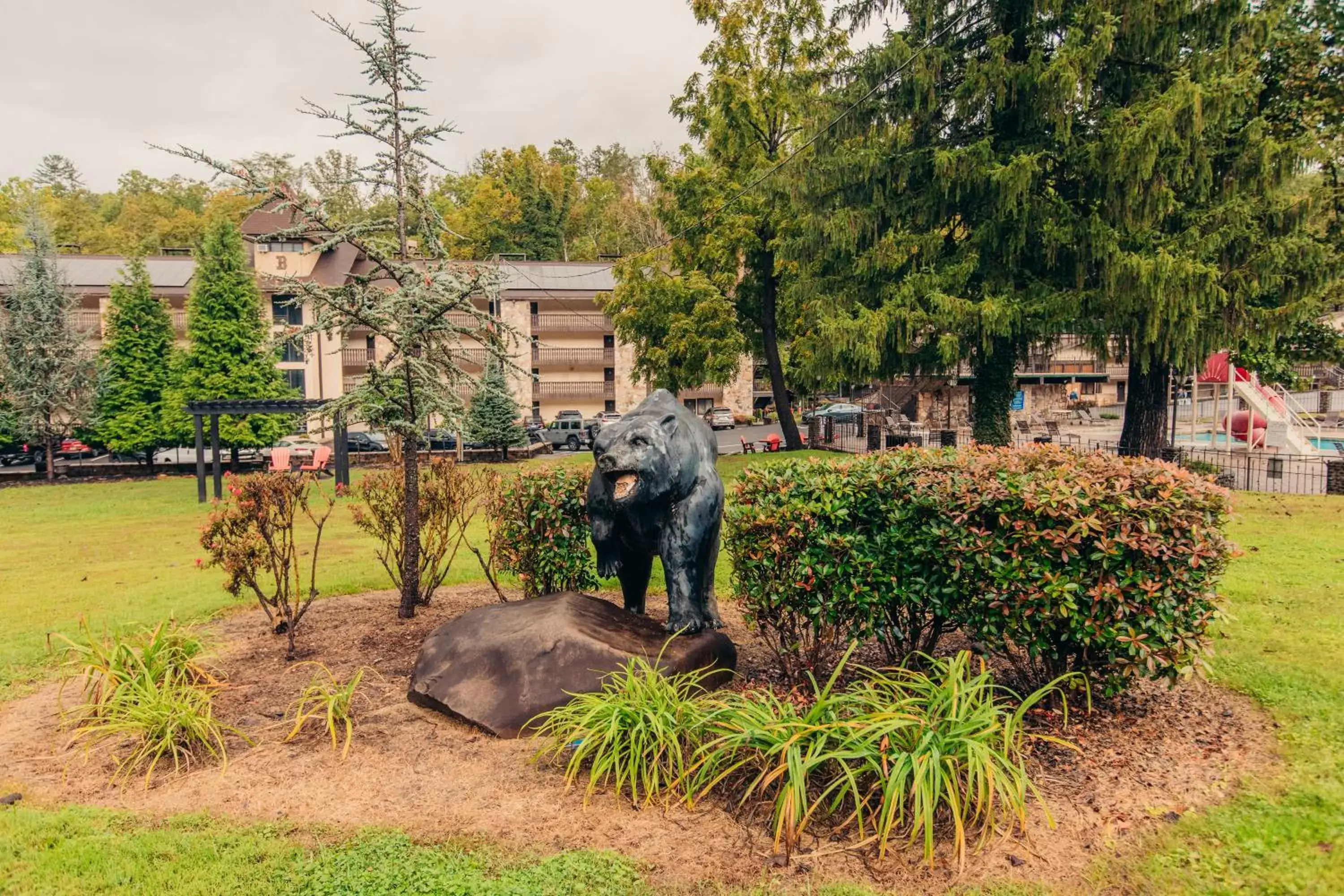 Animals, Other Animals in Brookside Lodge