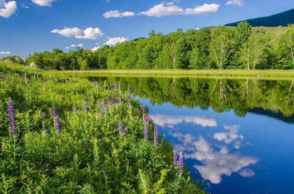 Natural Landscape in The Glen House