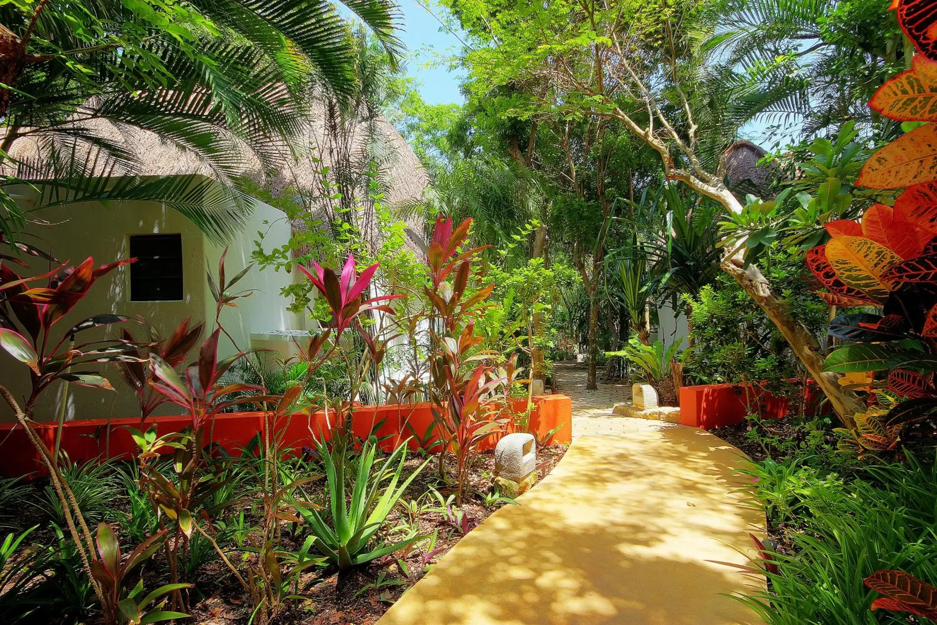 Garden in Riviera Maya Suites