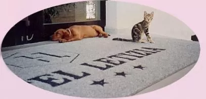 Pets in Hotel Letizia