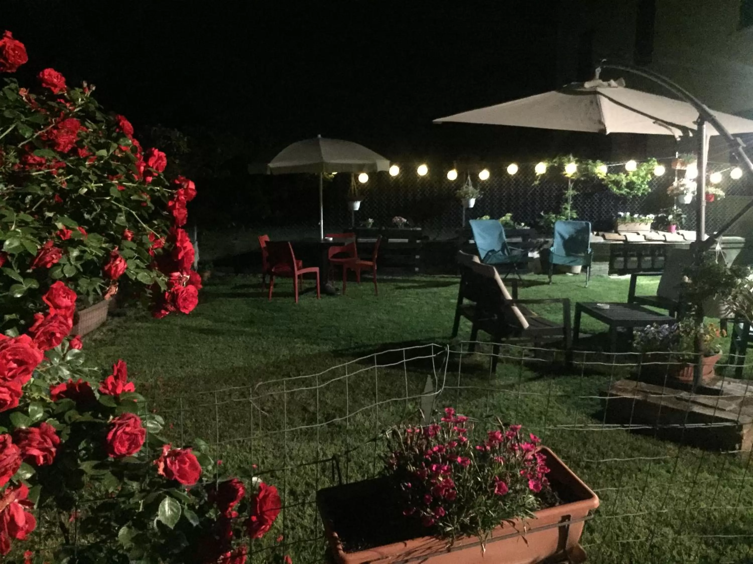 B&B Happiness in the Country