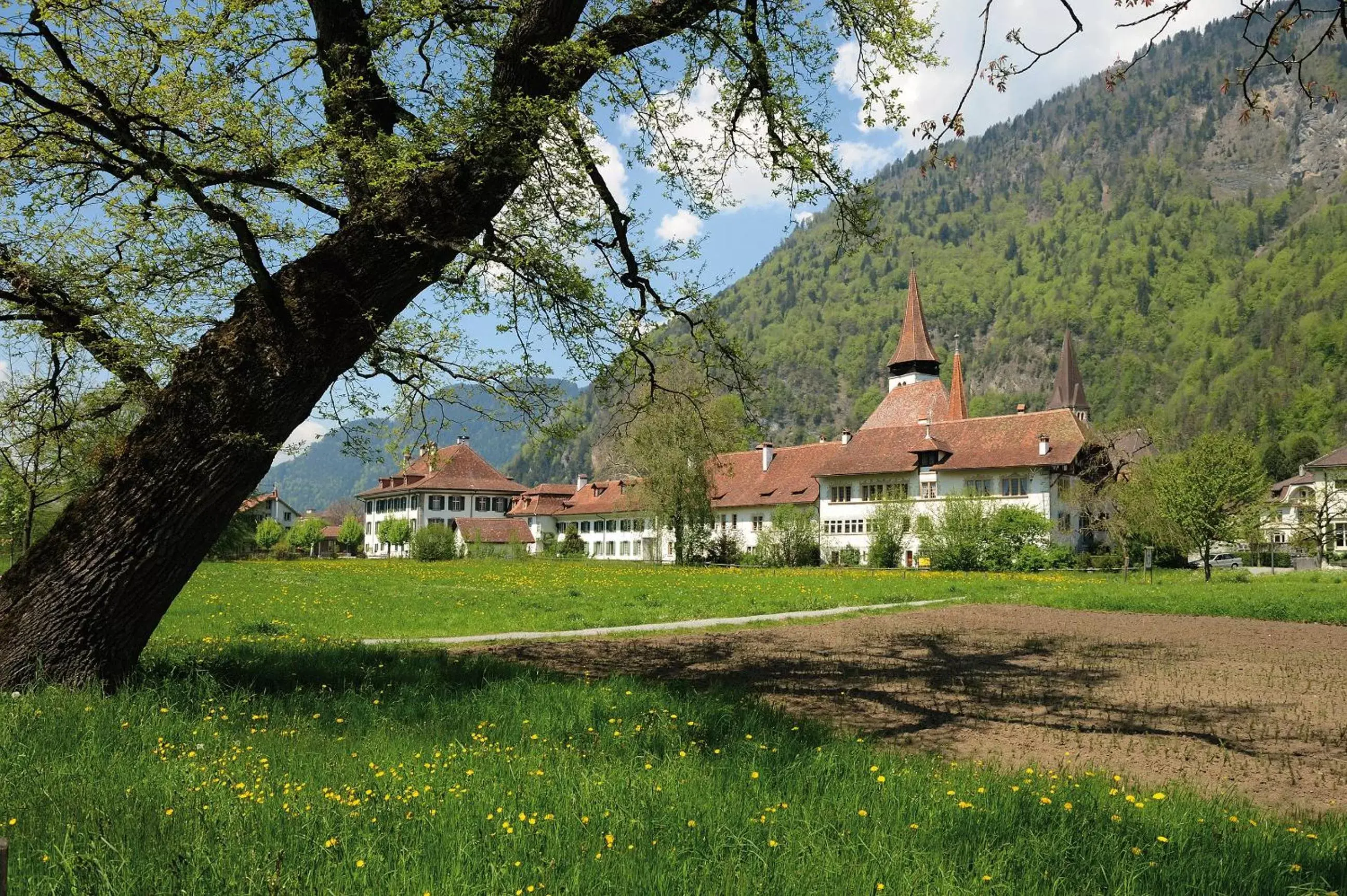 Natural landscape, Garden in Hotel Artos Interlaken