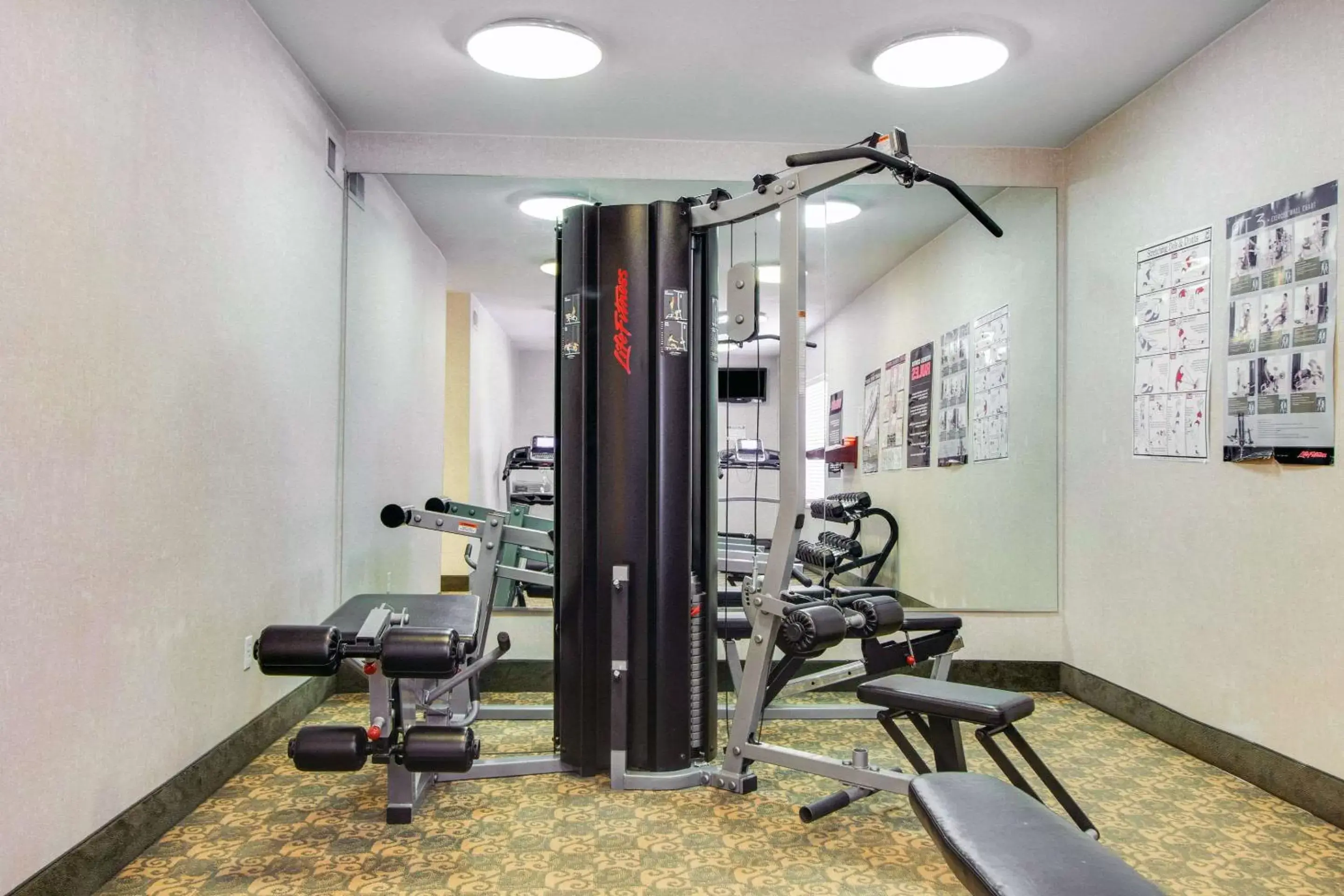 Fitness centre/facilities, Fitness Center/Facilities in MainStay Suites Texas Medical Center/Reliant Park