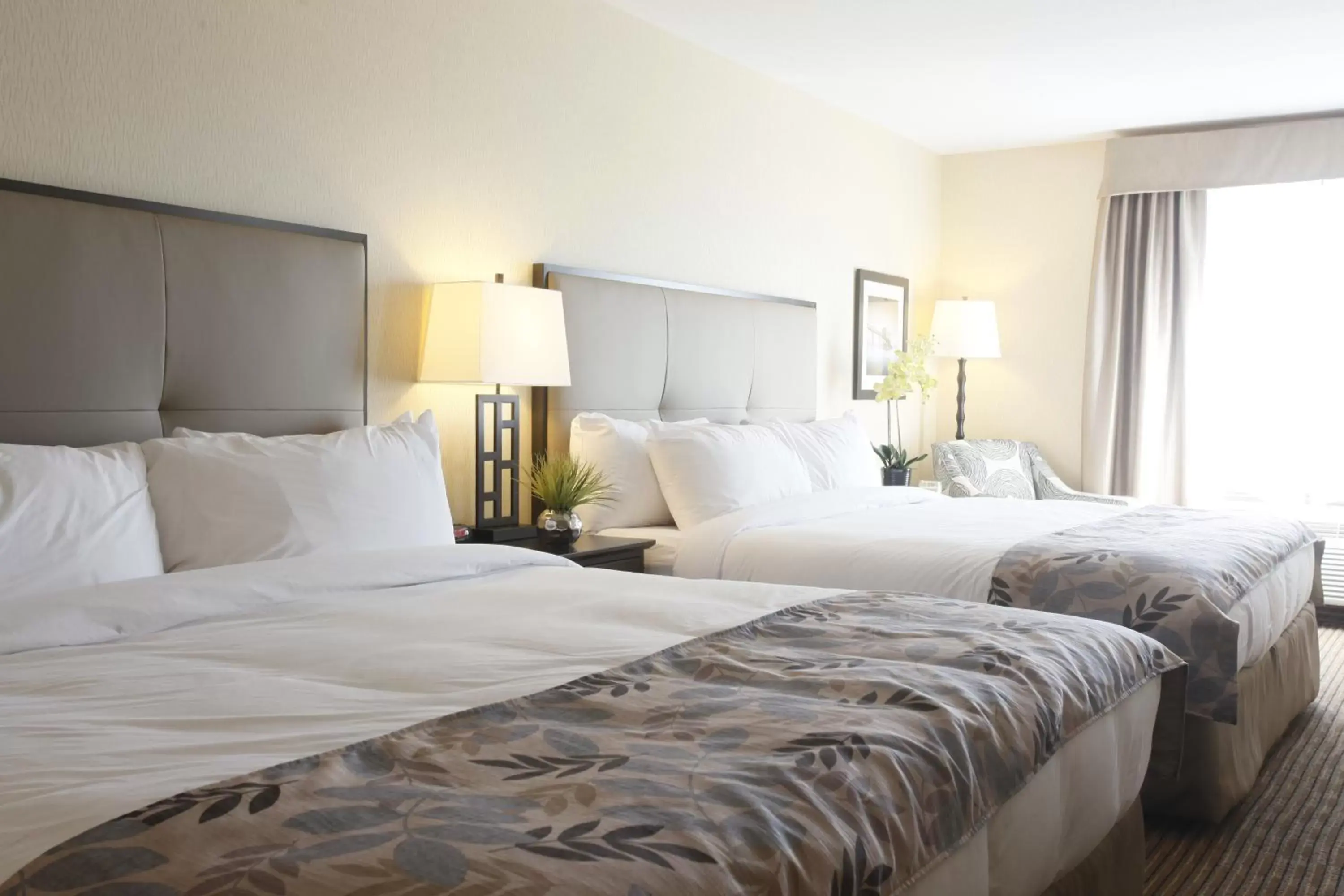 King Room with Two King Beds in Pomeroy Inn & Suites at Olds College King Room with Two King Beds in Pomeroy Inn & Suites at Olds College