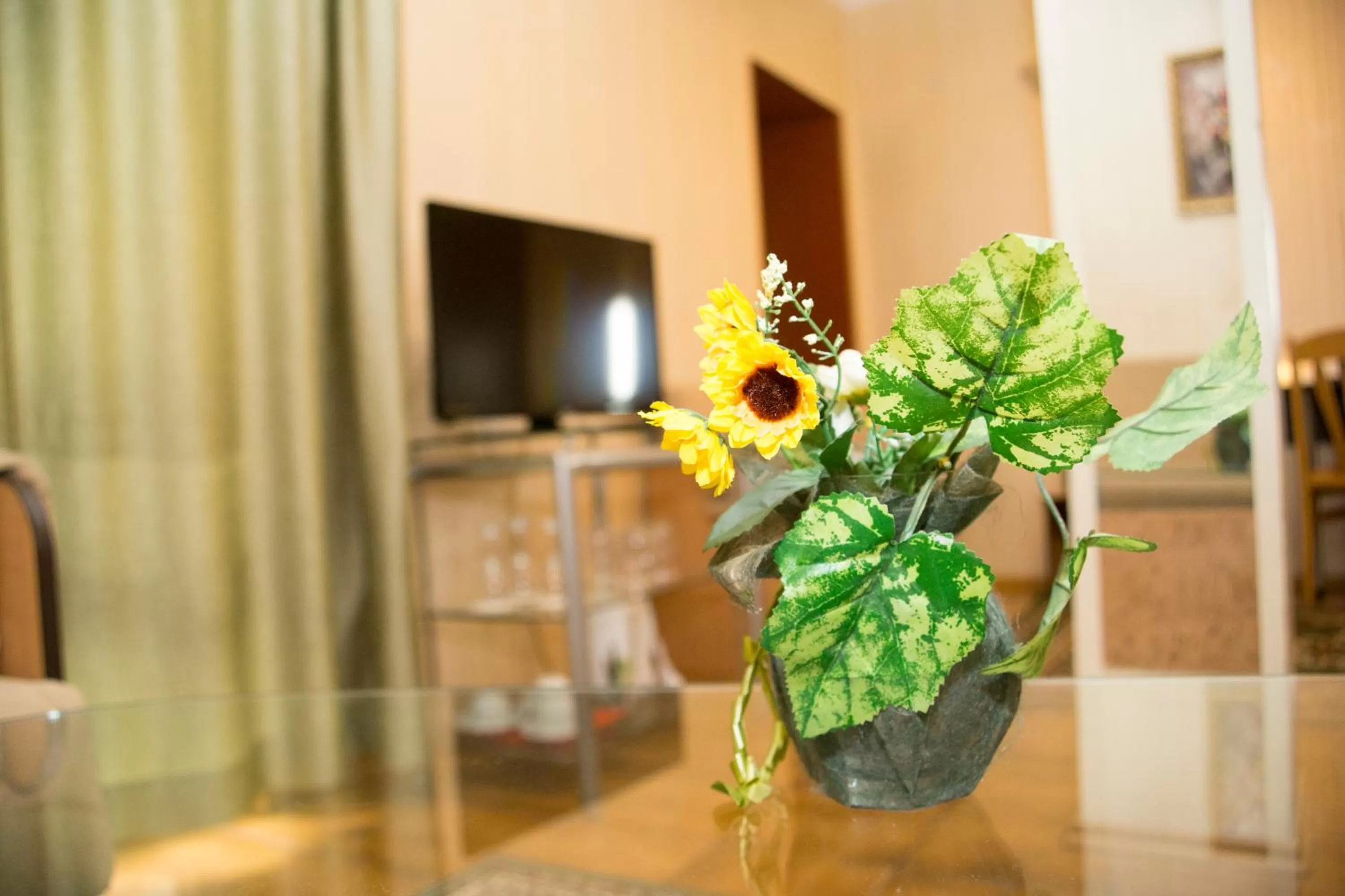 TV and multimedia in Noviz Hotel