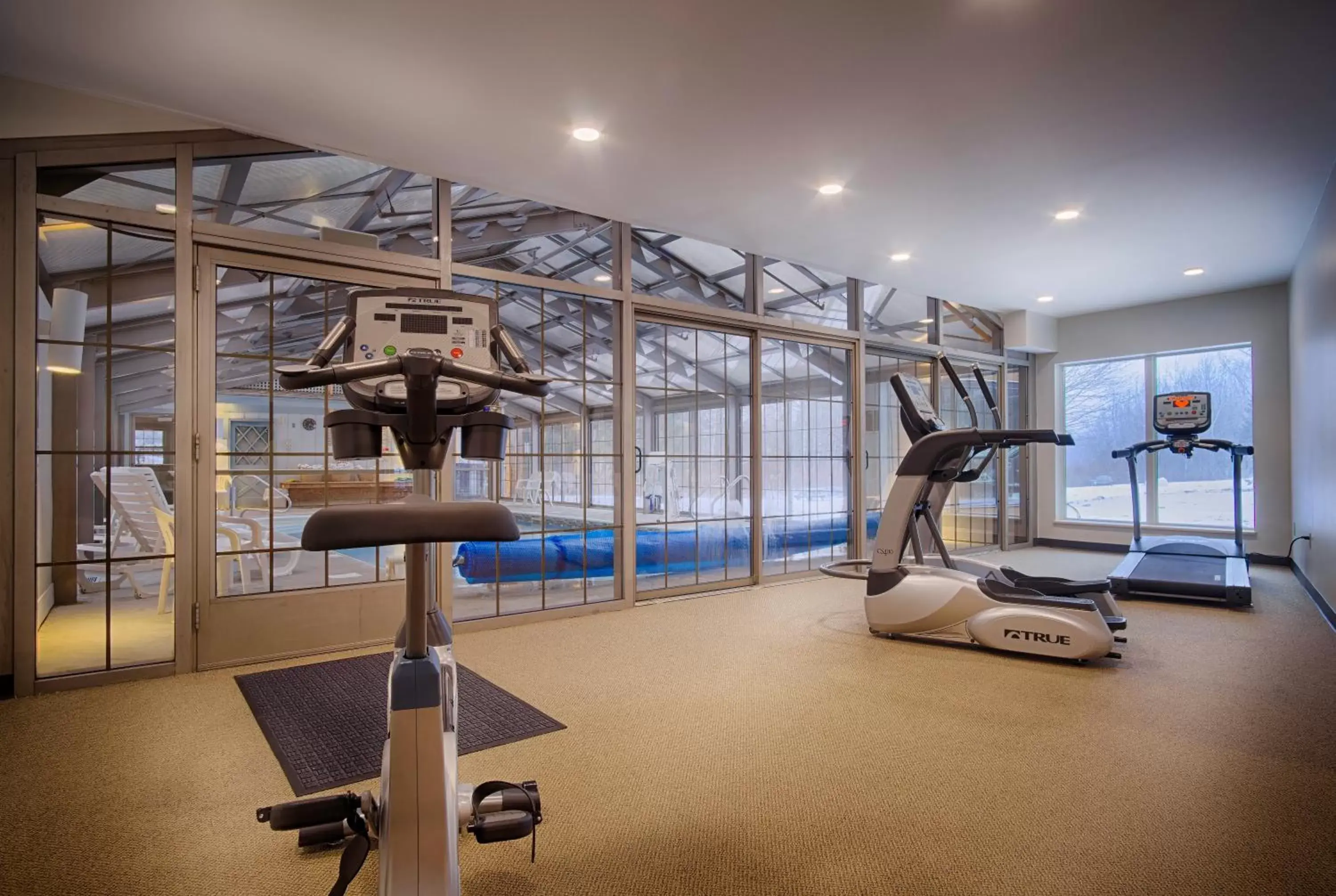 Fitness centre/facilities, Fitness Center/Facilities in Sun & Ski Inn and Suites