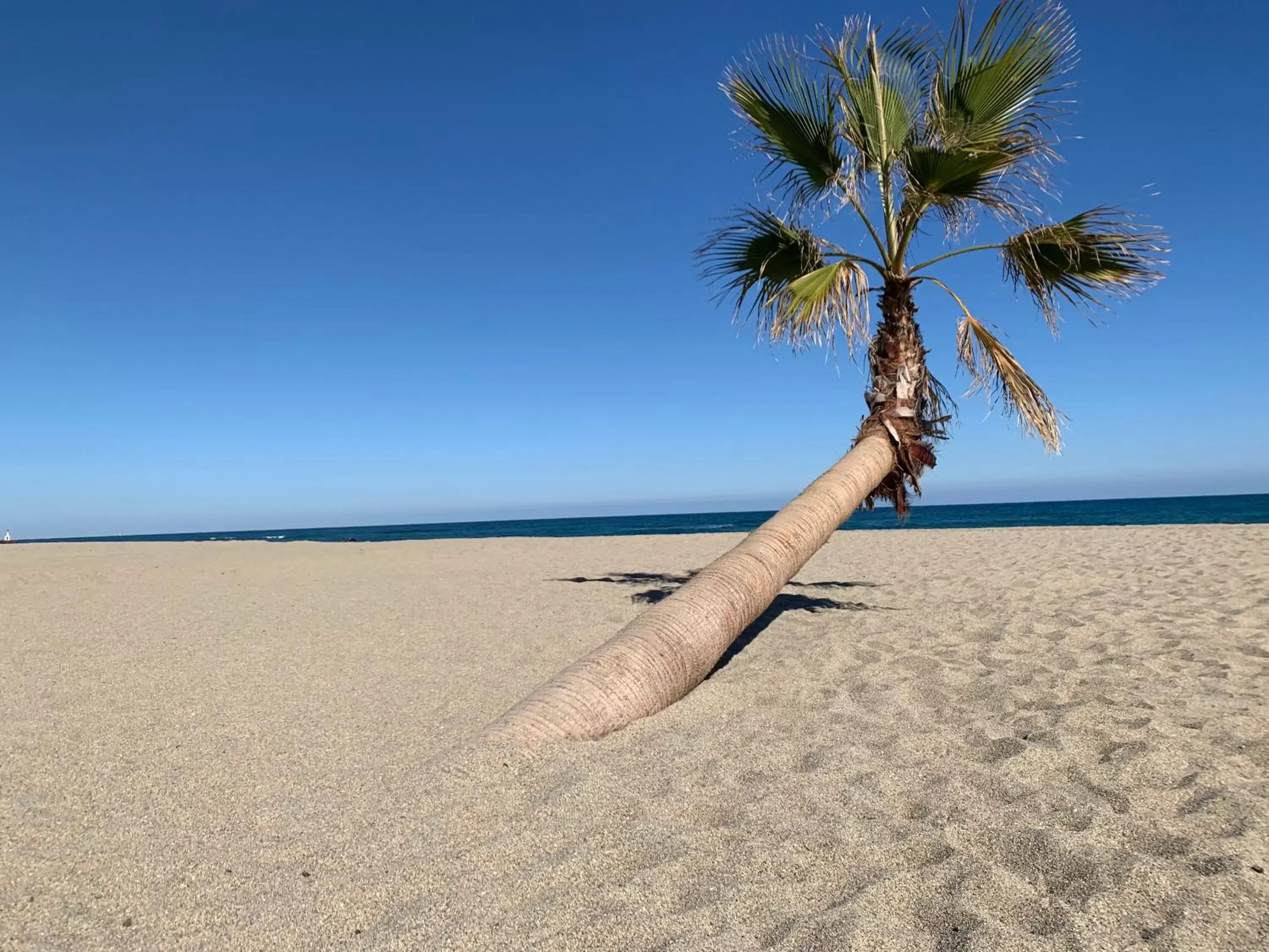 Beach in Résidence La Pinède