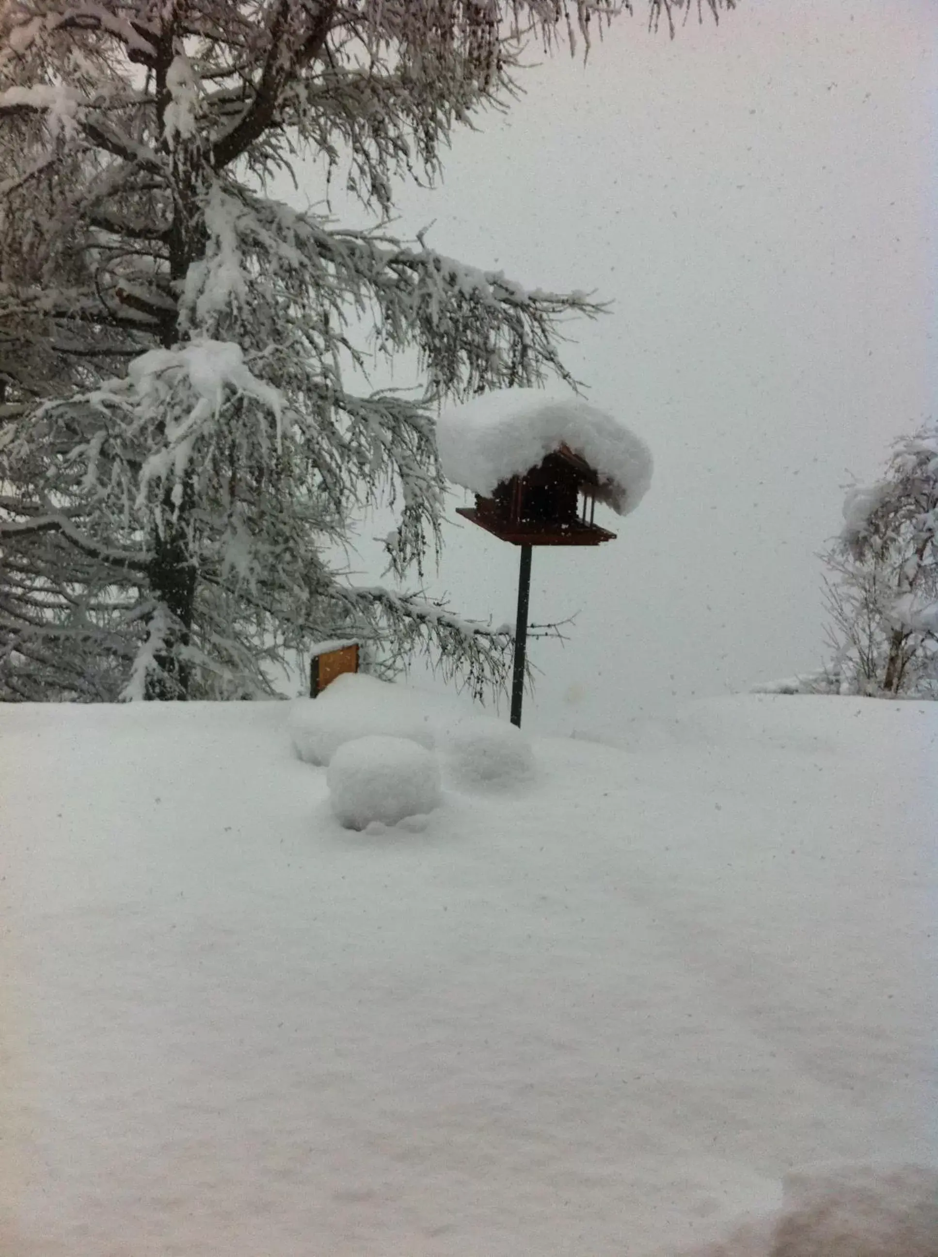 Skiing, Winter in Hotel Vallechiara