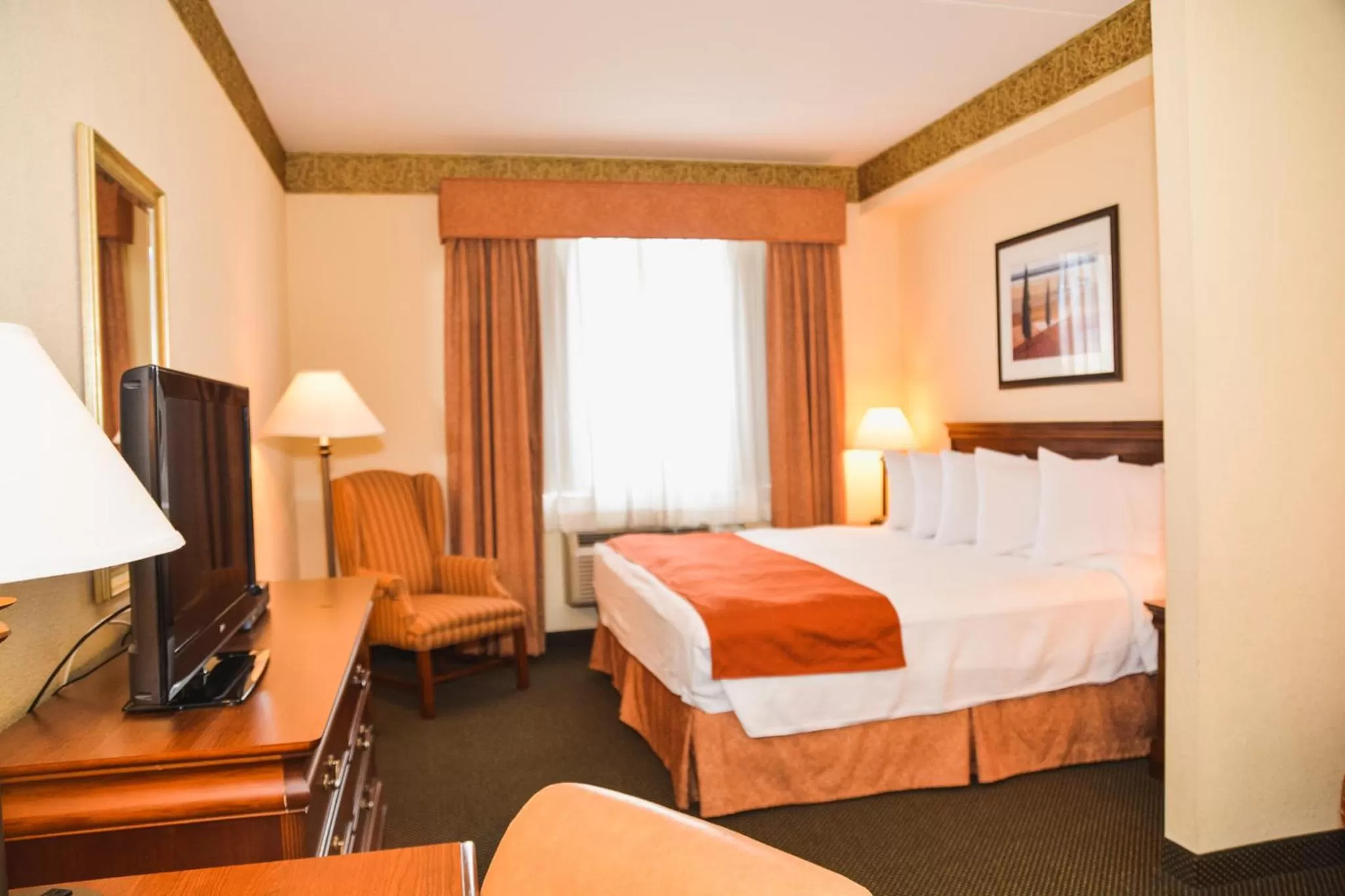 Studio King Suite in Country Inn & Suites by Radisson, London South, ON