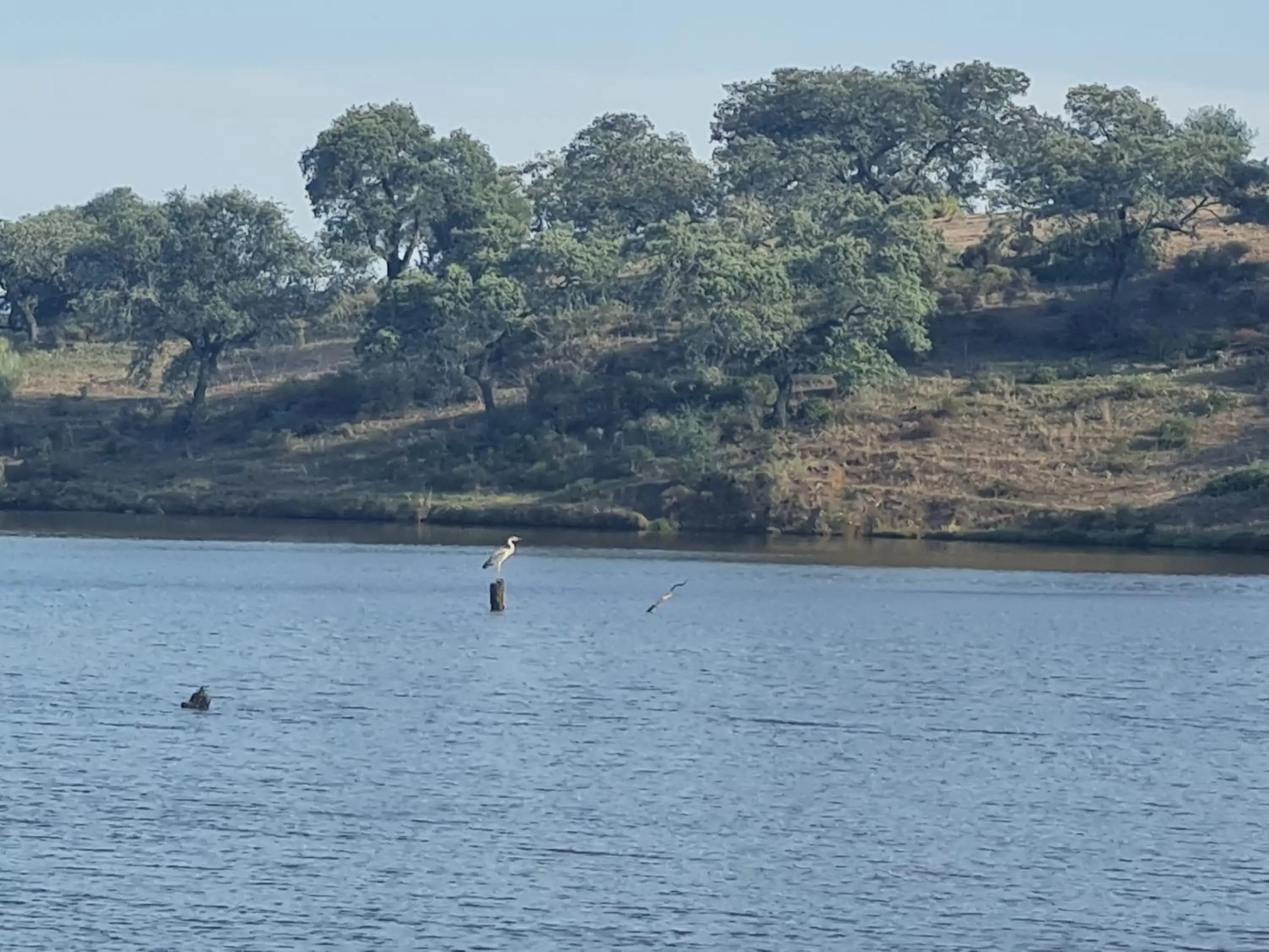 Sports in Alojamiento Rural Finca Barral