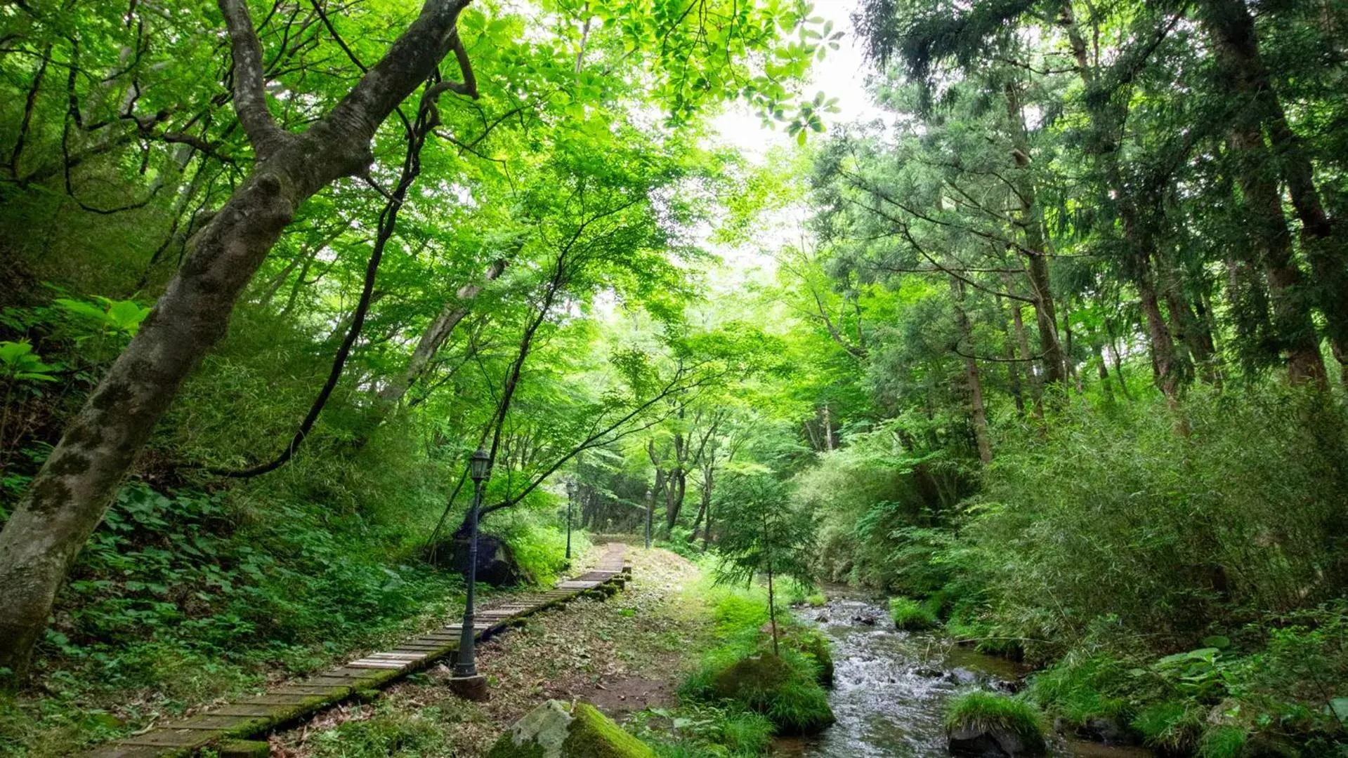 Natural Landscape in Hotel Floracion Nasu