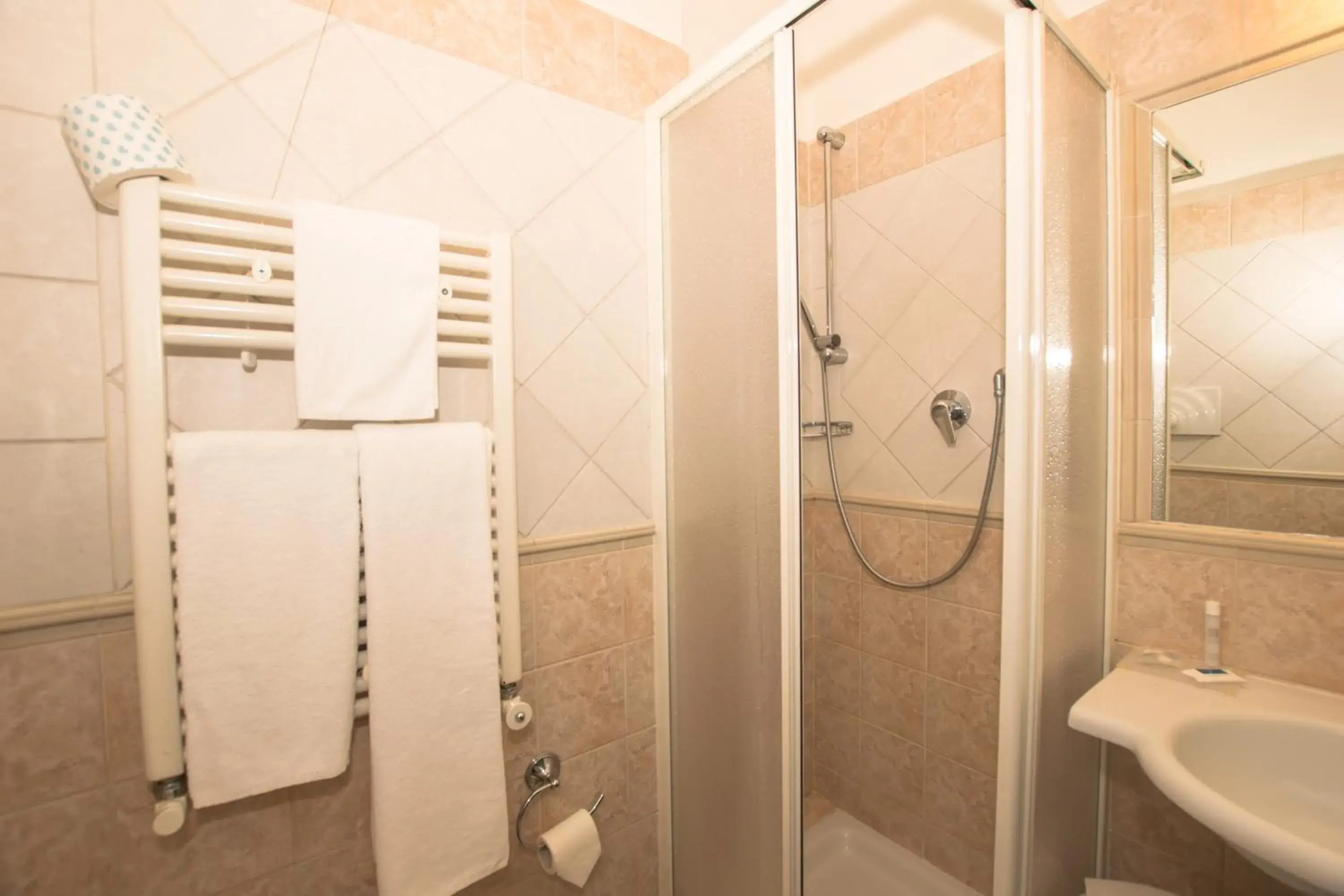 Shower, Bathroom in Hotel Europa