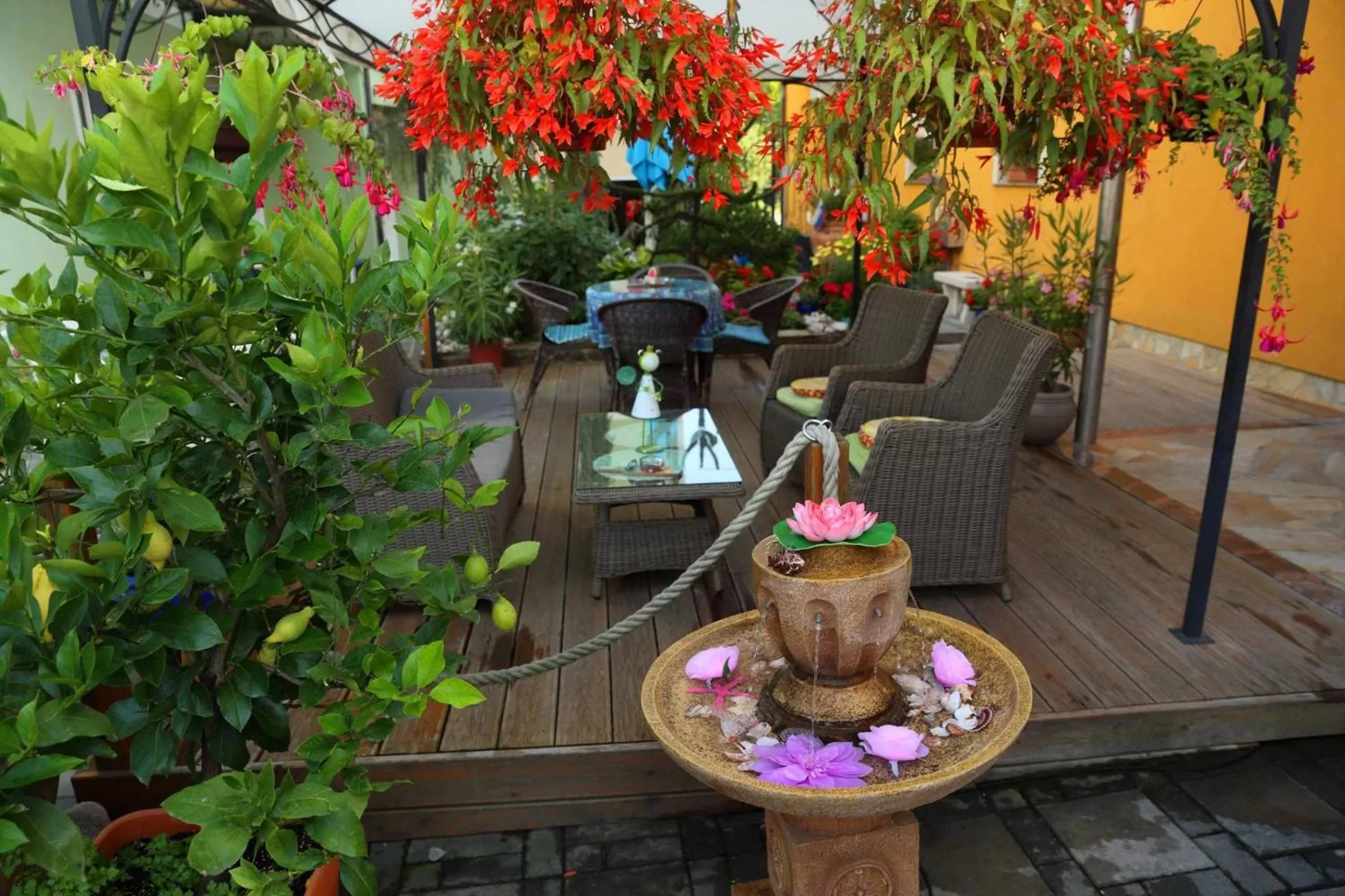 Garden in Hostel Sonce