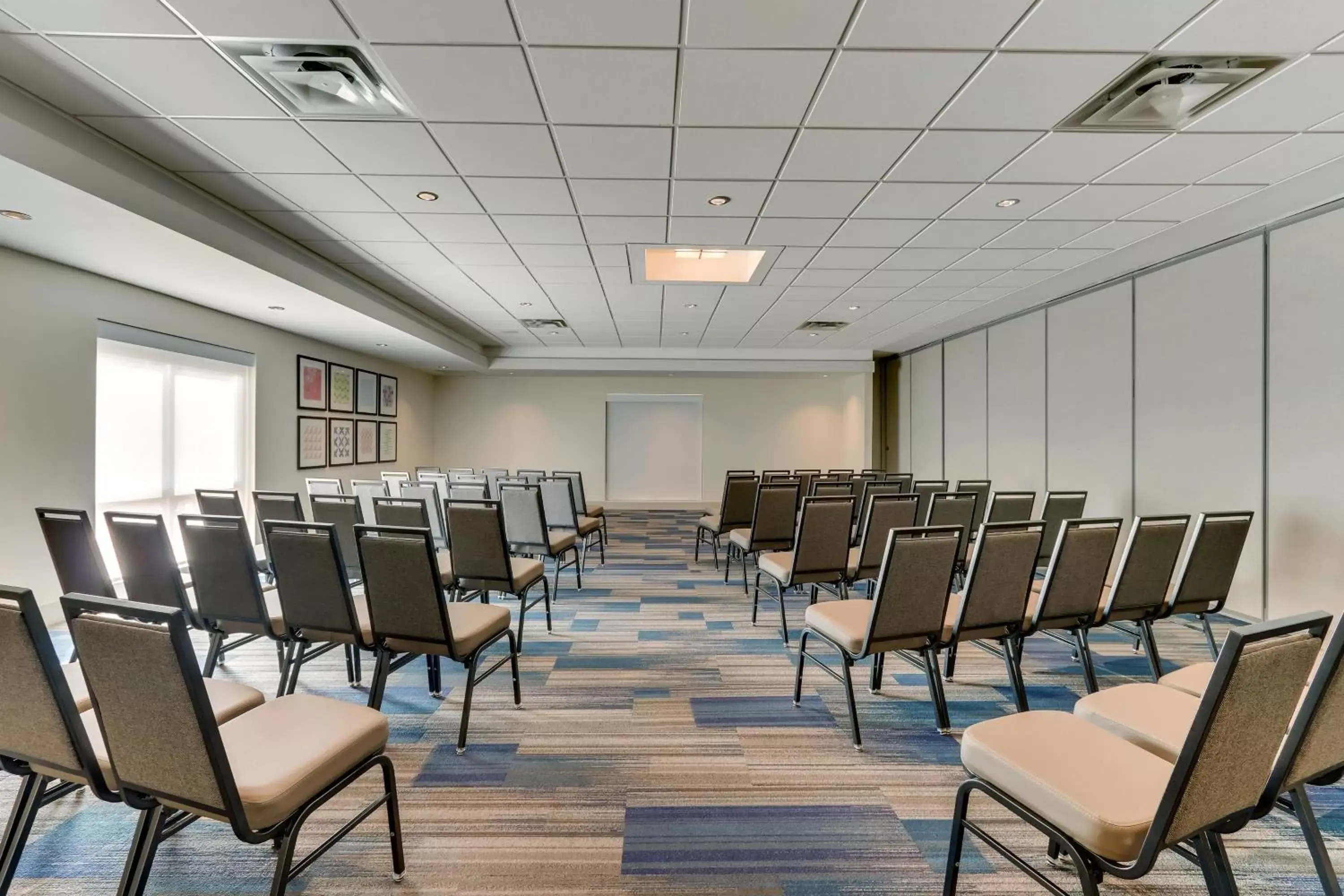 Meeting/conference room in Holiday Inn Express & Suites - Dawsonville, an IHG Hotel