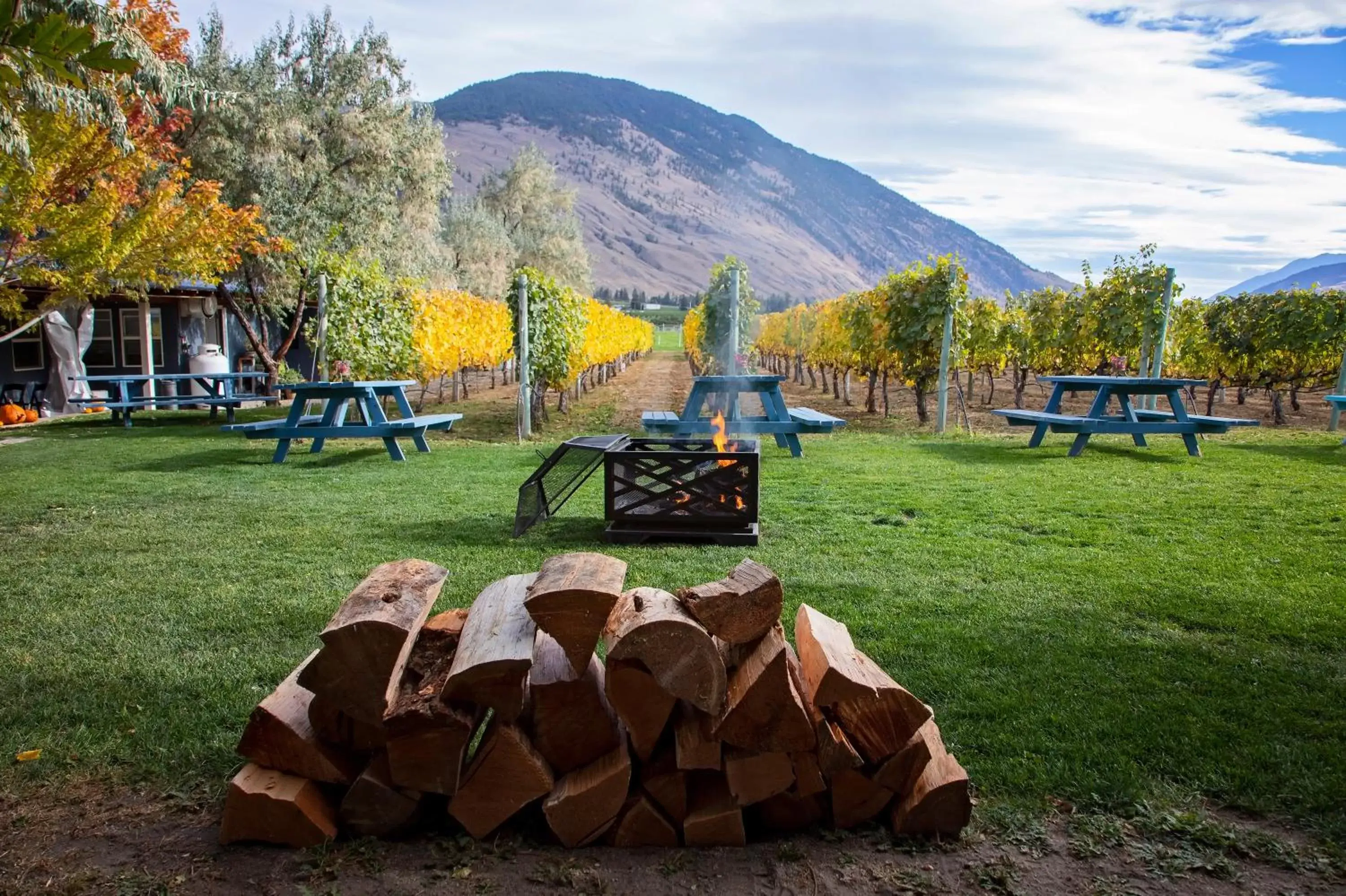 Garden in Crowsnest Vineyards Guesthouse