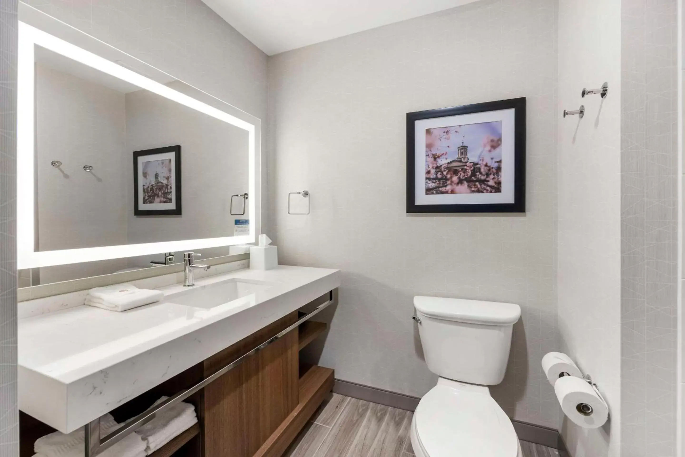 Bedroom, Bathroom in Comfort Inn & Suites Gallatin - Nashville Metro