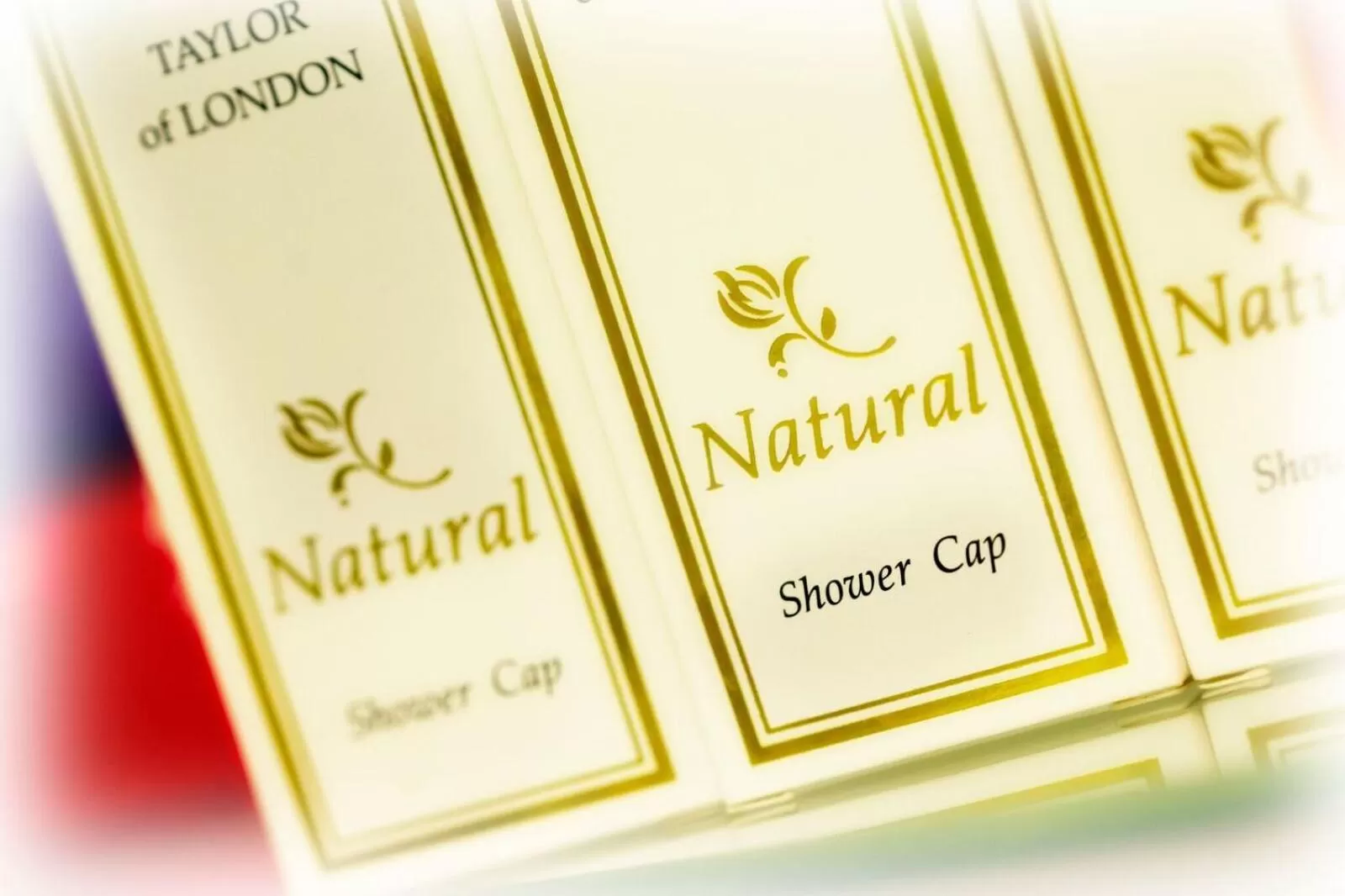 St. Raphael Guest House