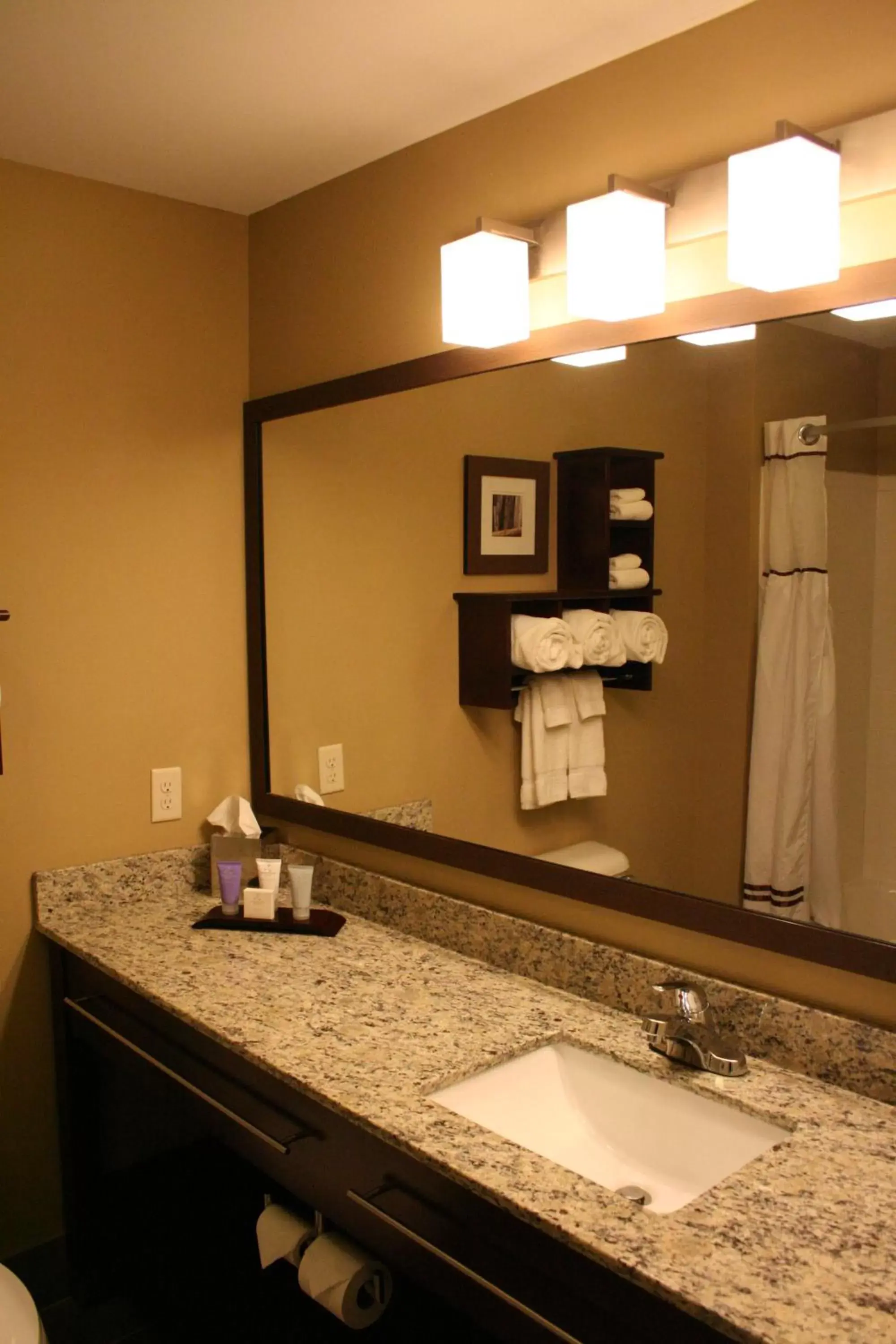 Bathroom in GrandStay Hotel & Suites - Morris