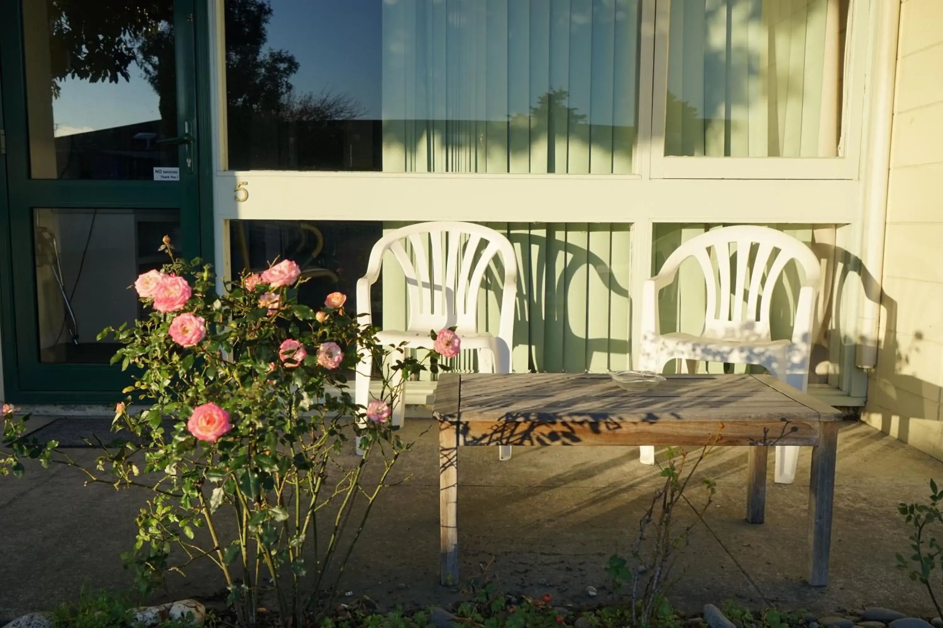 Patio, Restaurant/Places to Eat in Tui Lodge Motel