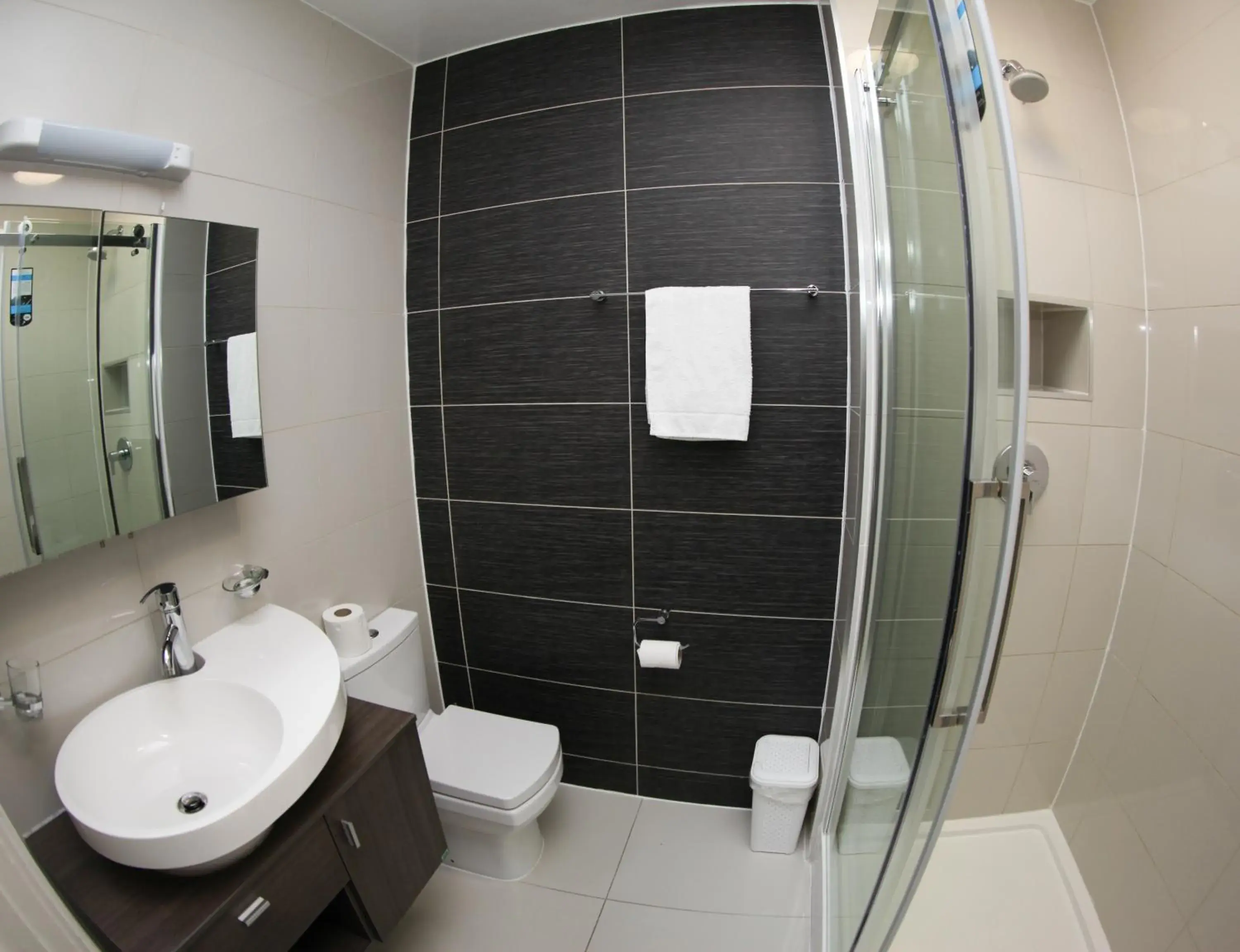 Shower, Bathroom in Ascot Hyde Park Hotel