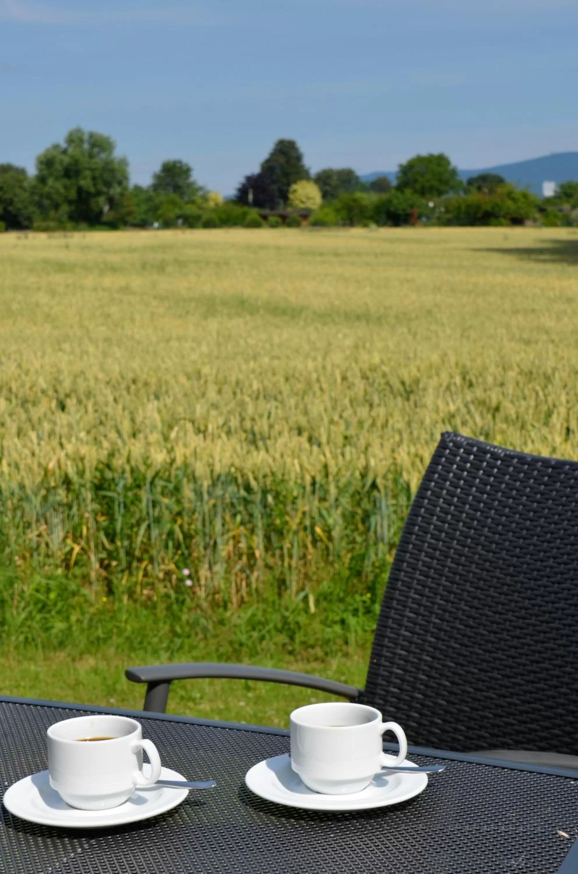 Patio in Landhotel Sulzbacher Hof