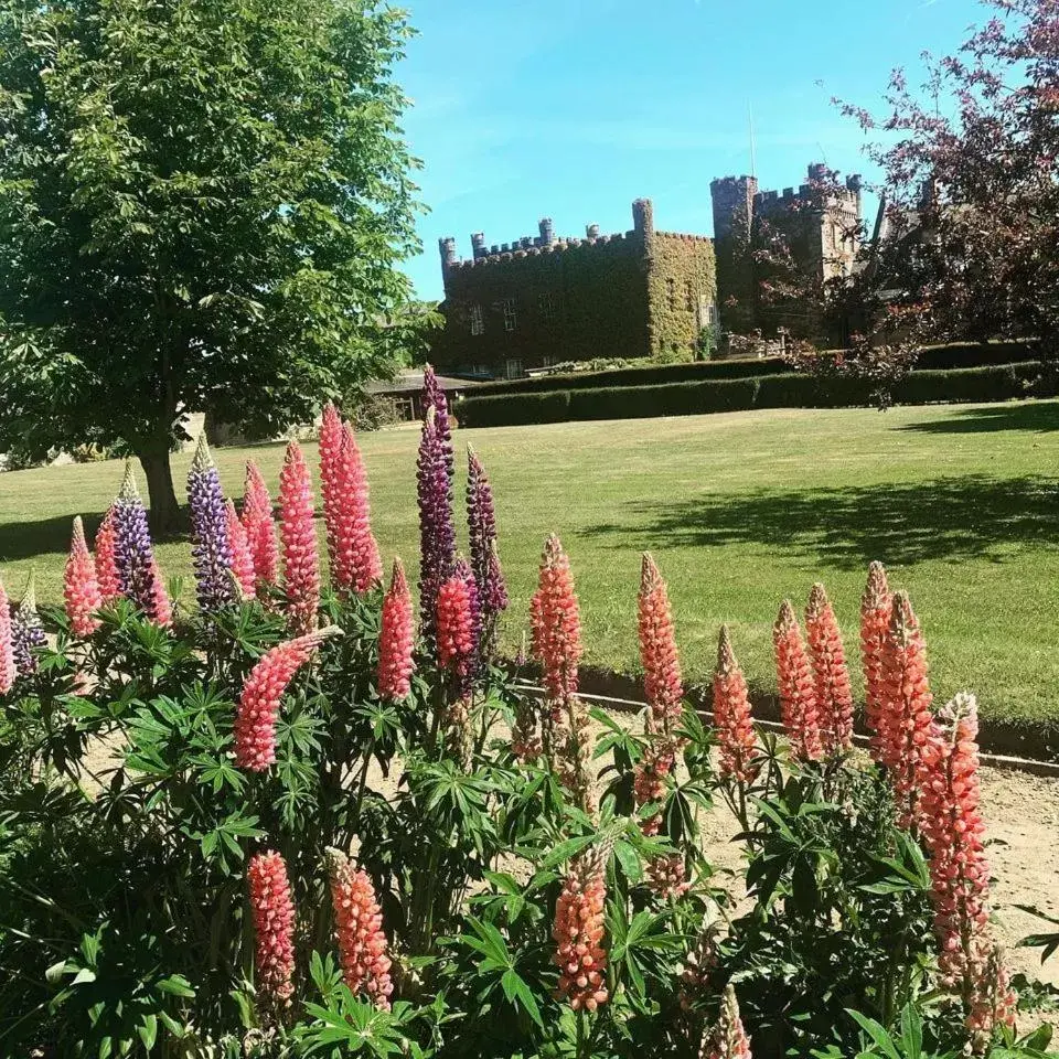 Garden in Sneaton Castle