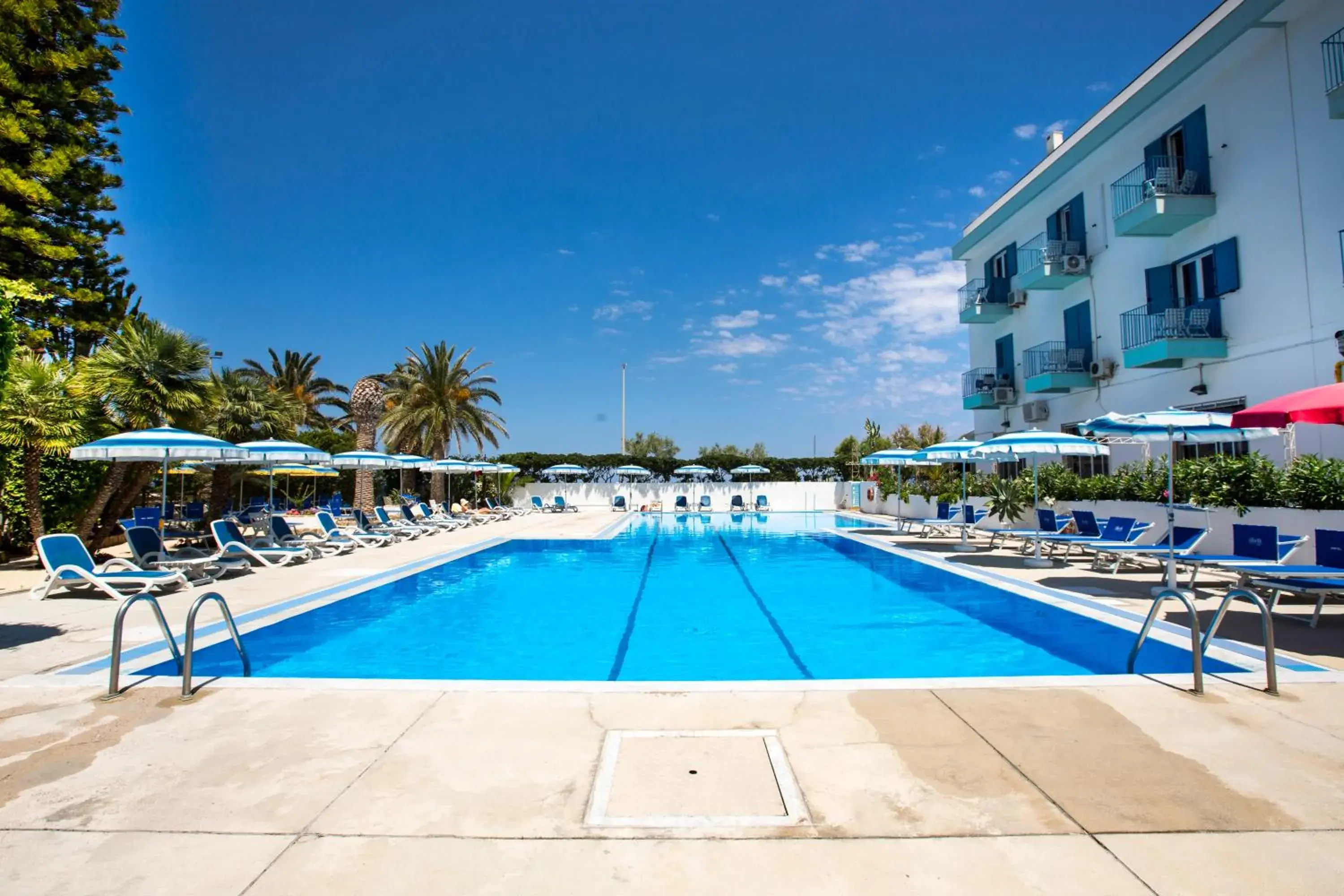 Swimming Pool in Hotel Tourist