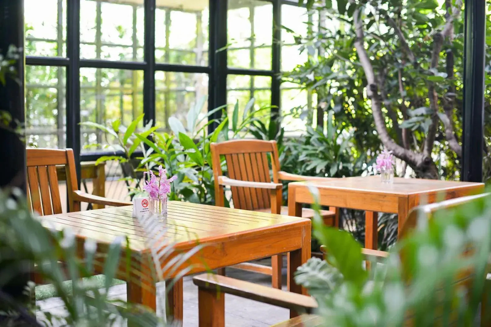 Garden, Restaurant/Places to Eat in Grand Howard Hotel