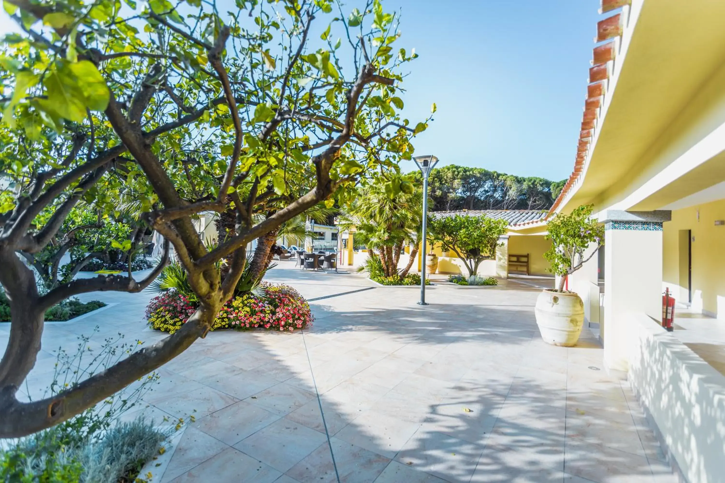 Garden in Hotel Fiore Di Maggio