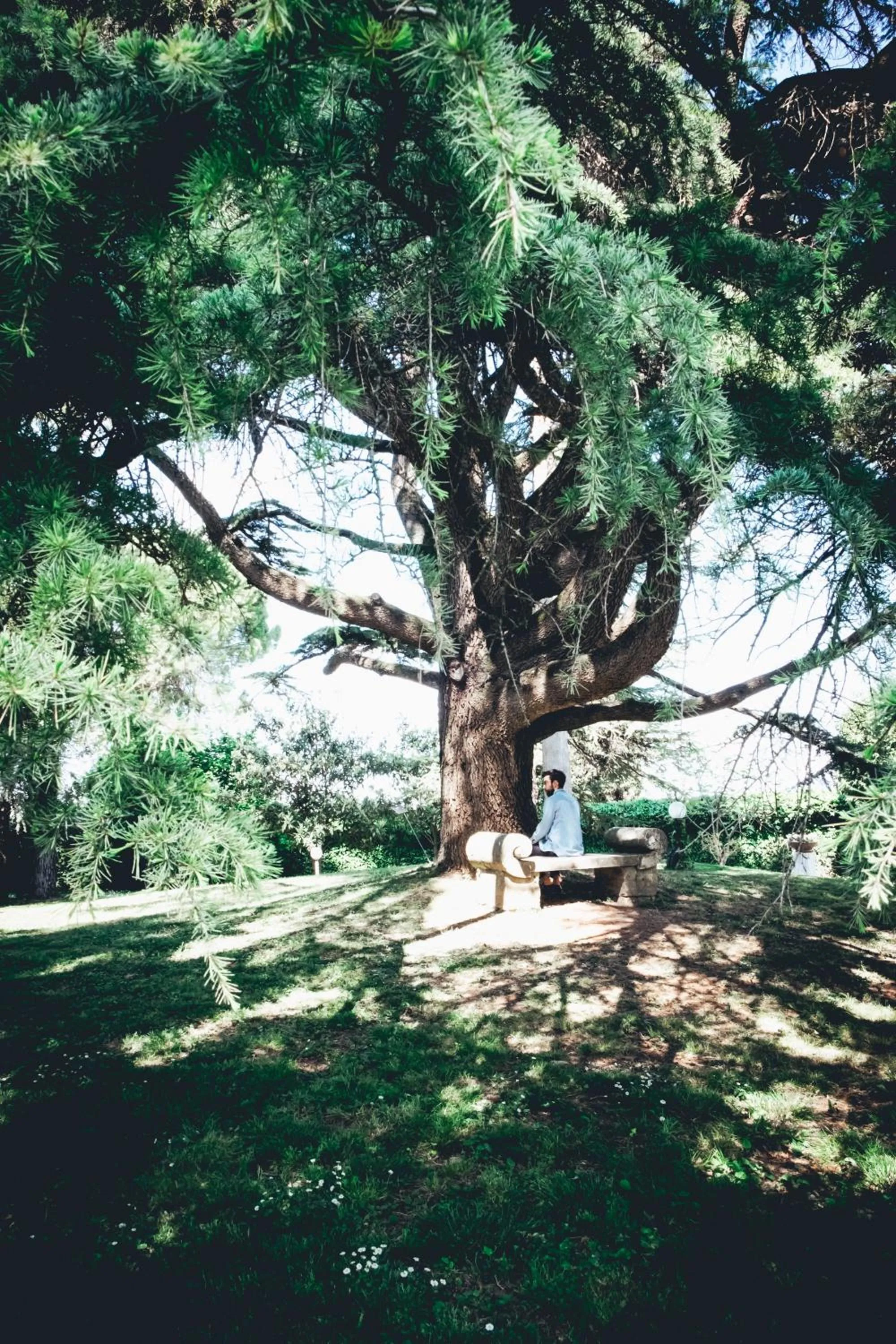 Garden in Posta Donini 1579 - UNA Esperienze