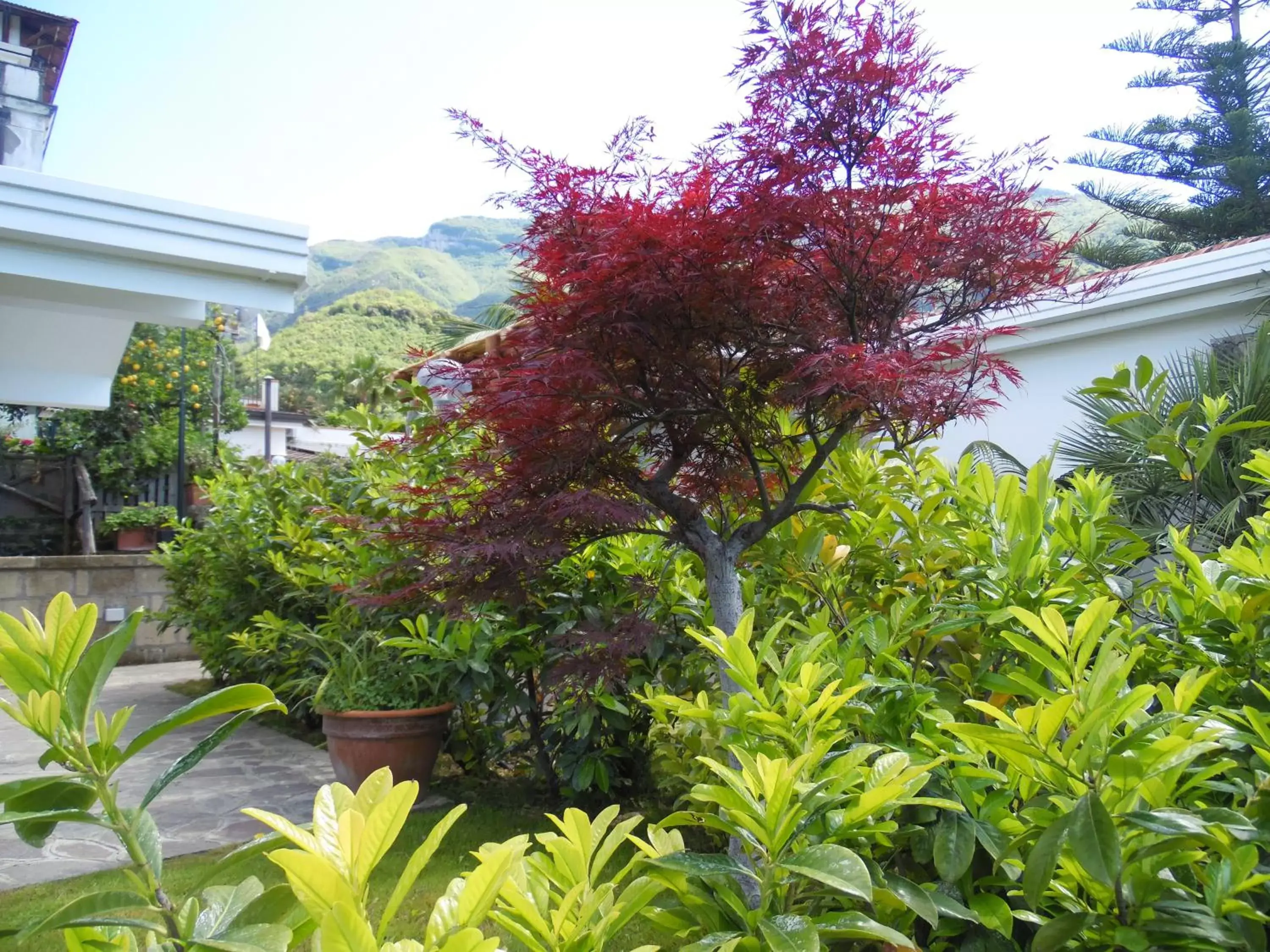 Garden in Villa Bianca