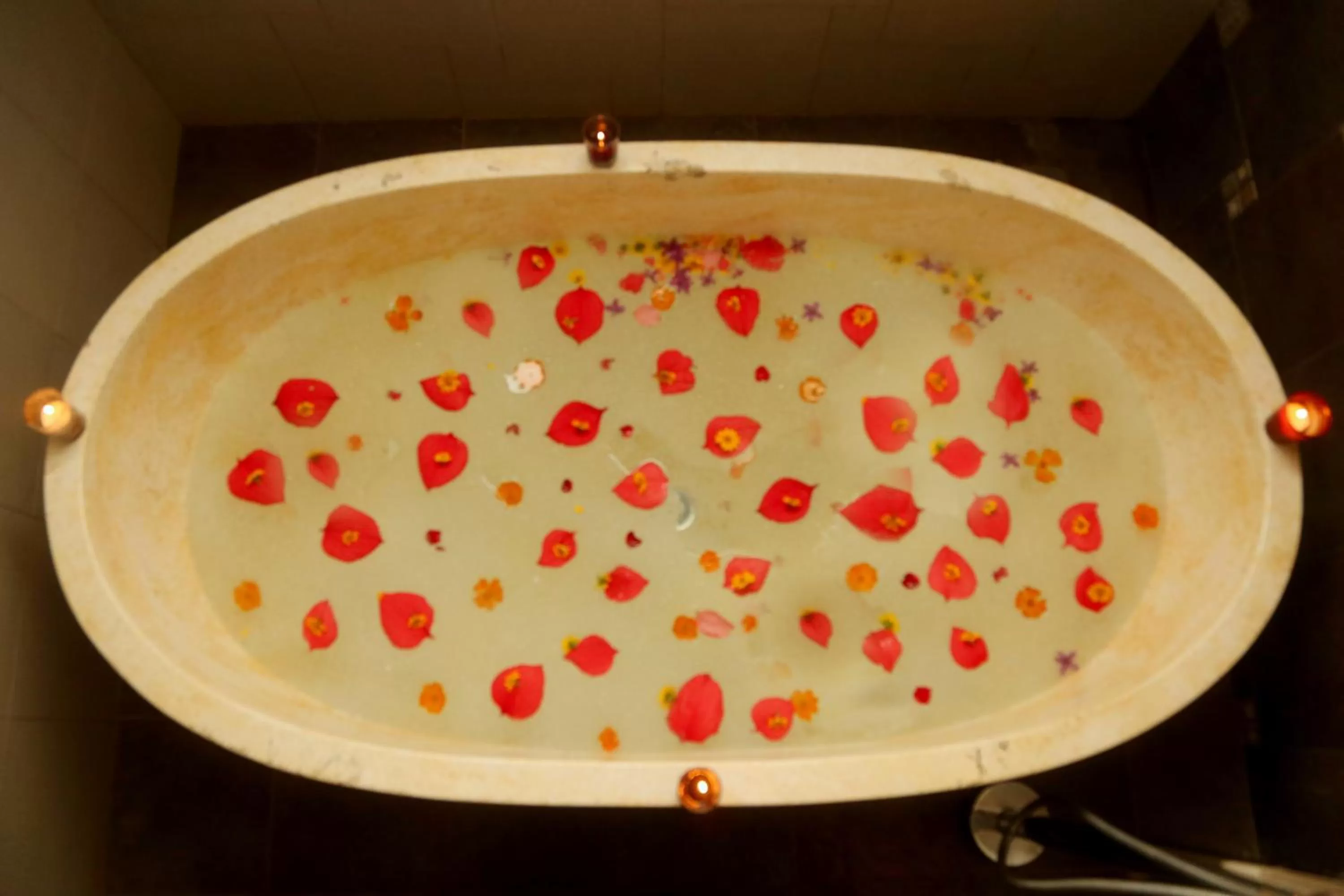 Hot Tub in Old Kent Estates & Spa, Coorg