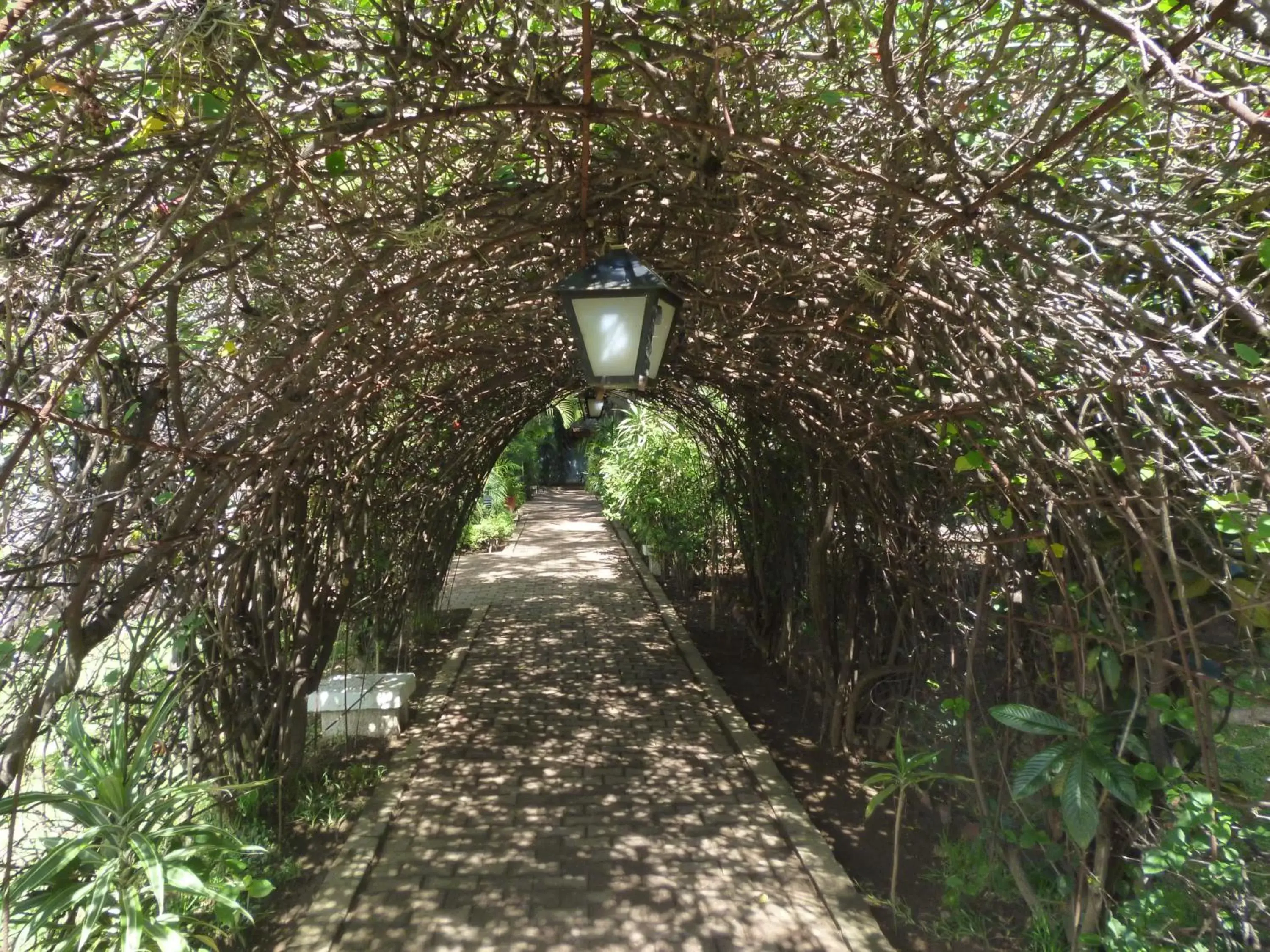 Garden in Mision De Los Angeles