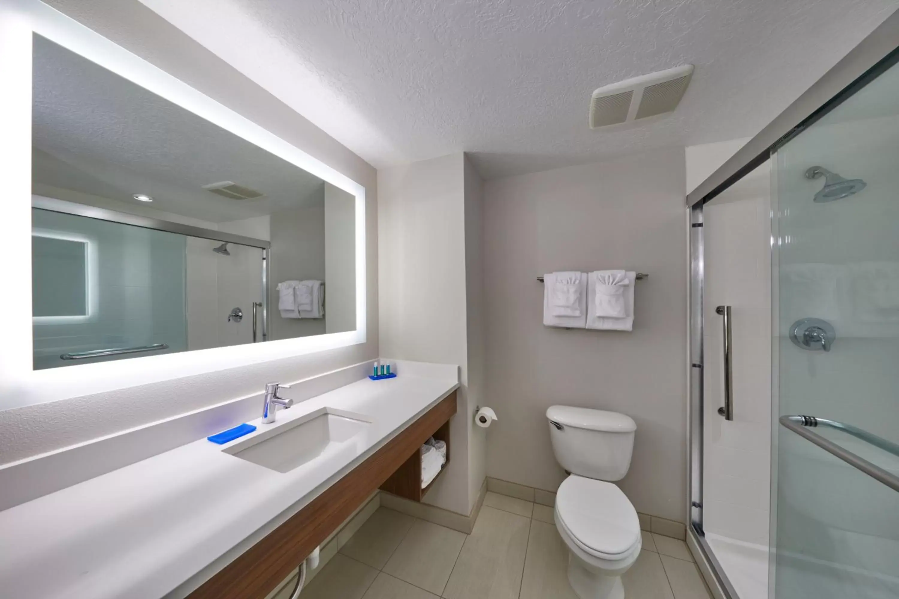 Bathroom in Holiday Inn Express Hotel & Suites Medford-Central Point, an IHG Hotel