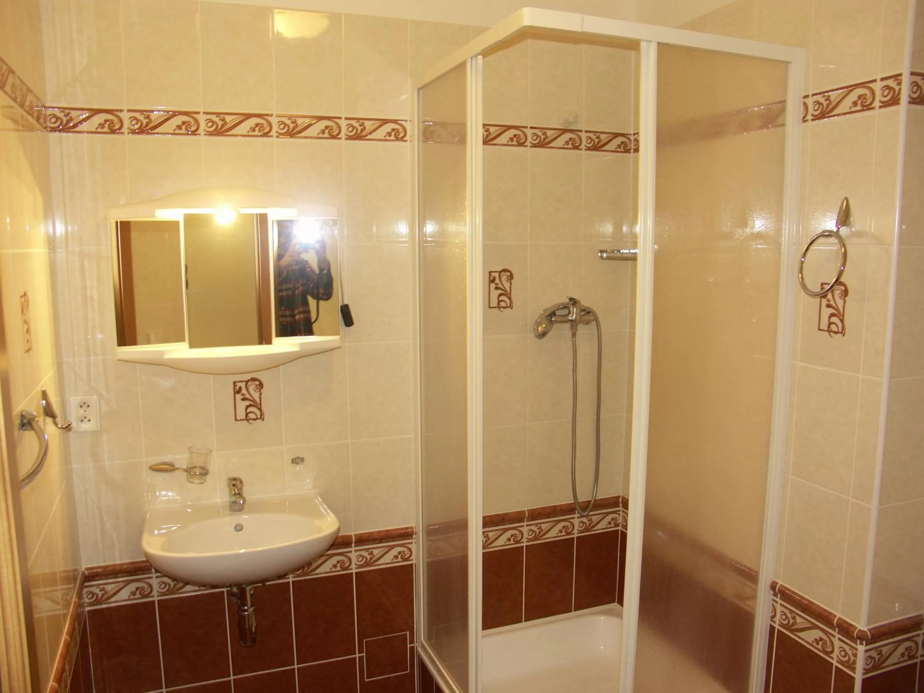 Bathroom in Brezina Pension