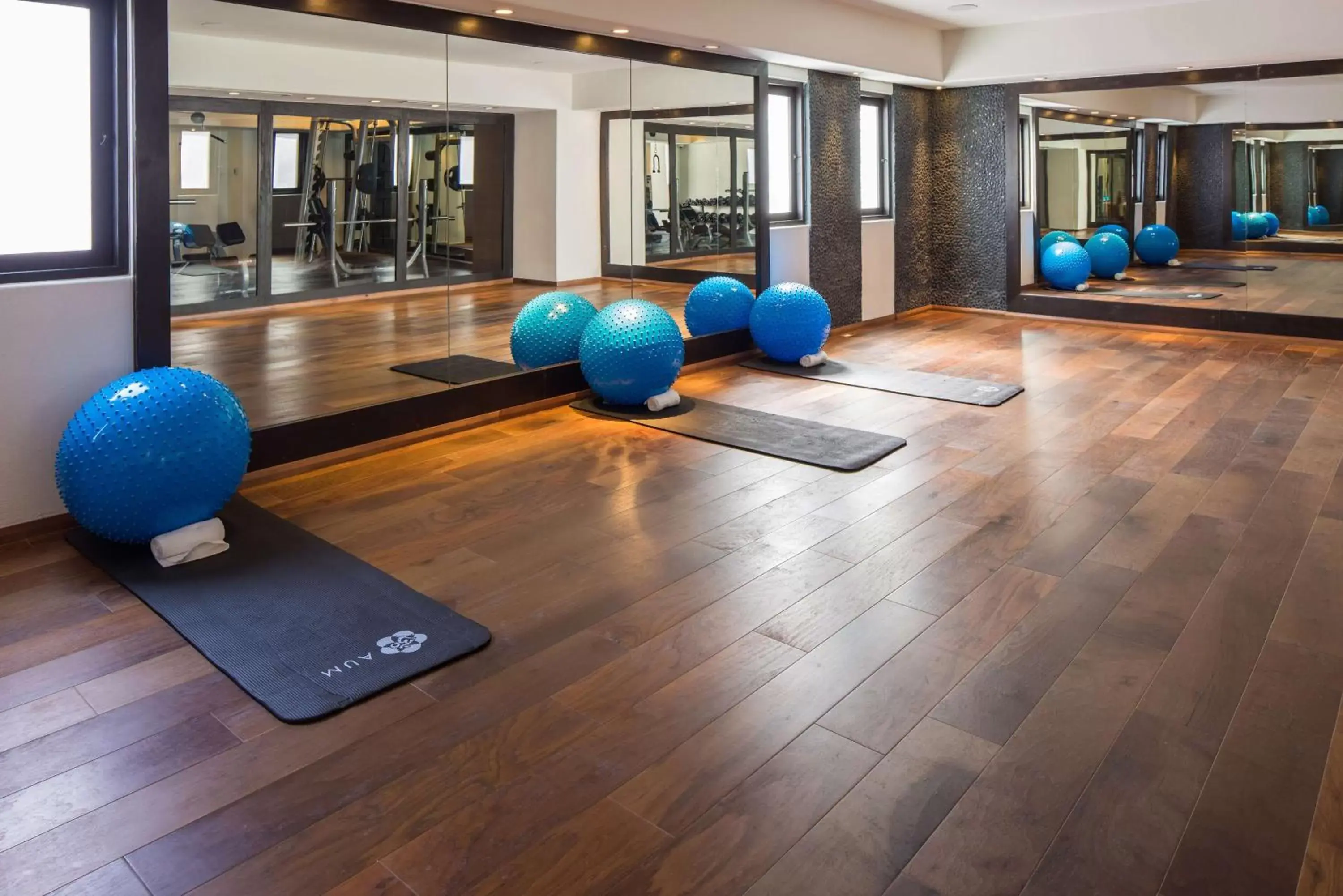 Fitness centre/facilities, Fitness Center/Facilities in Hilton Vacation Club Cabo Azul Los Cabos