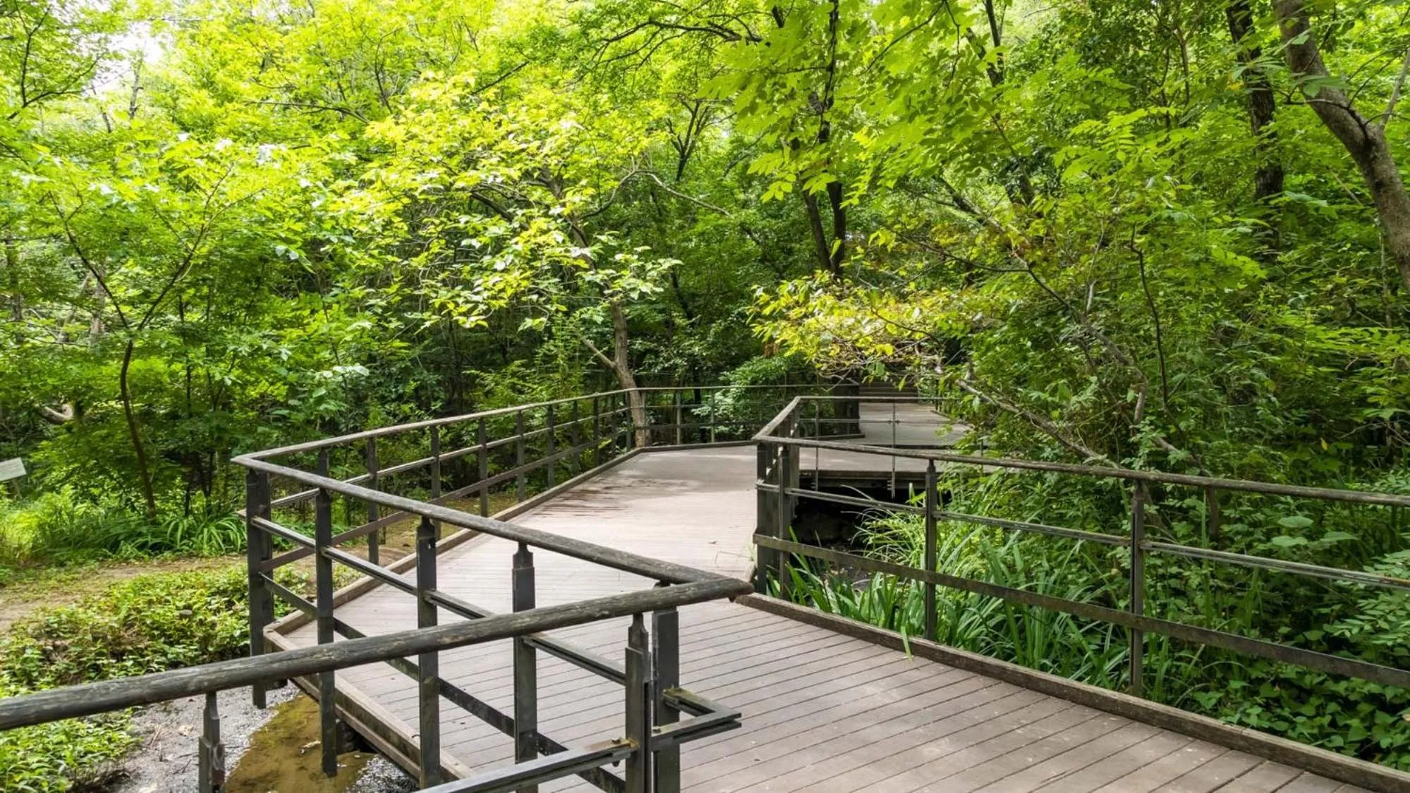 Nearby landmark in Toyoko Inn Tokyo Akabane-eki Higashi-guchi Ichiban-gai