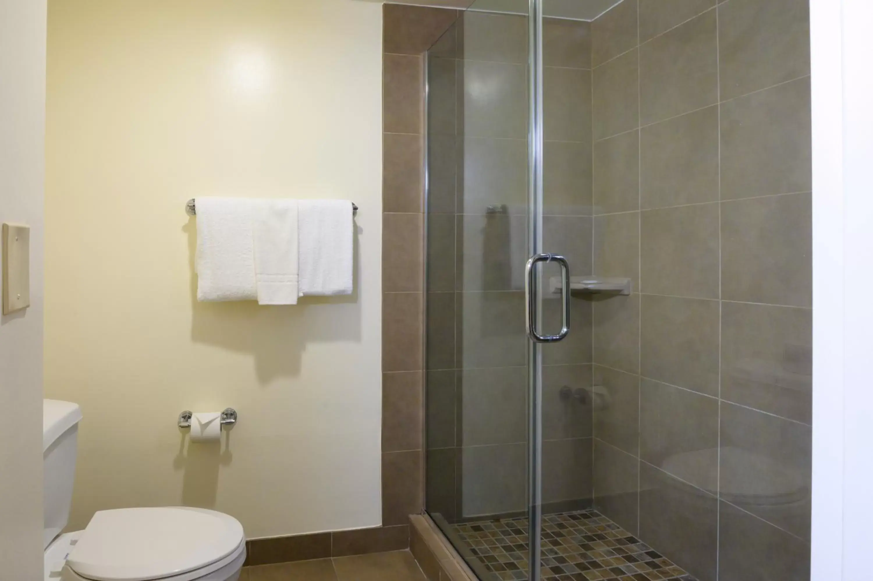 Shower, Bathroom in Airtel Plaza Hotel
