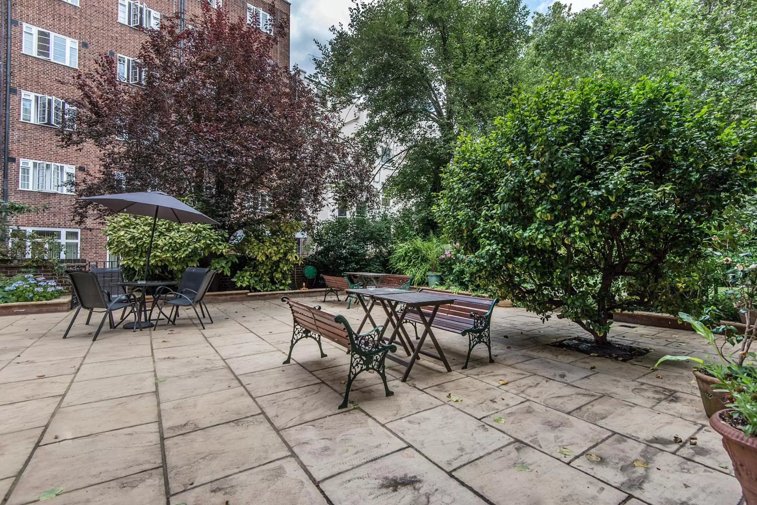 Garden view in Vincent House London Residence