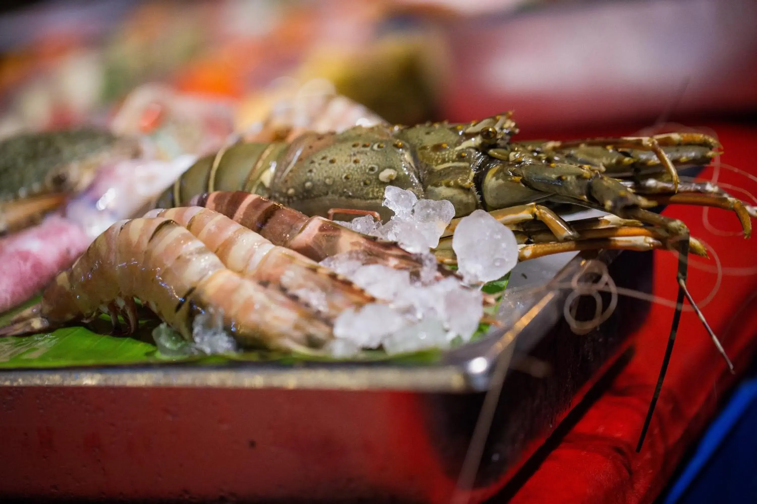 Restaurant/places to eat in Kata Poolside Resort SHA Extra Plus Restaurant/places to eat in Kata Poolside Resort SHA Extra Plus