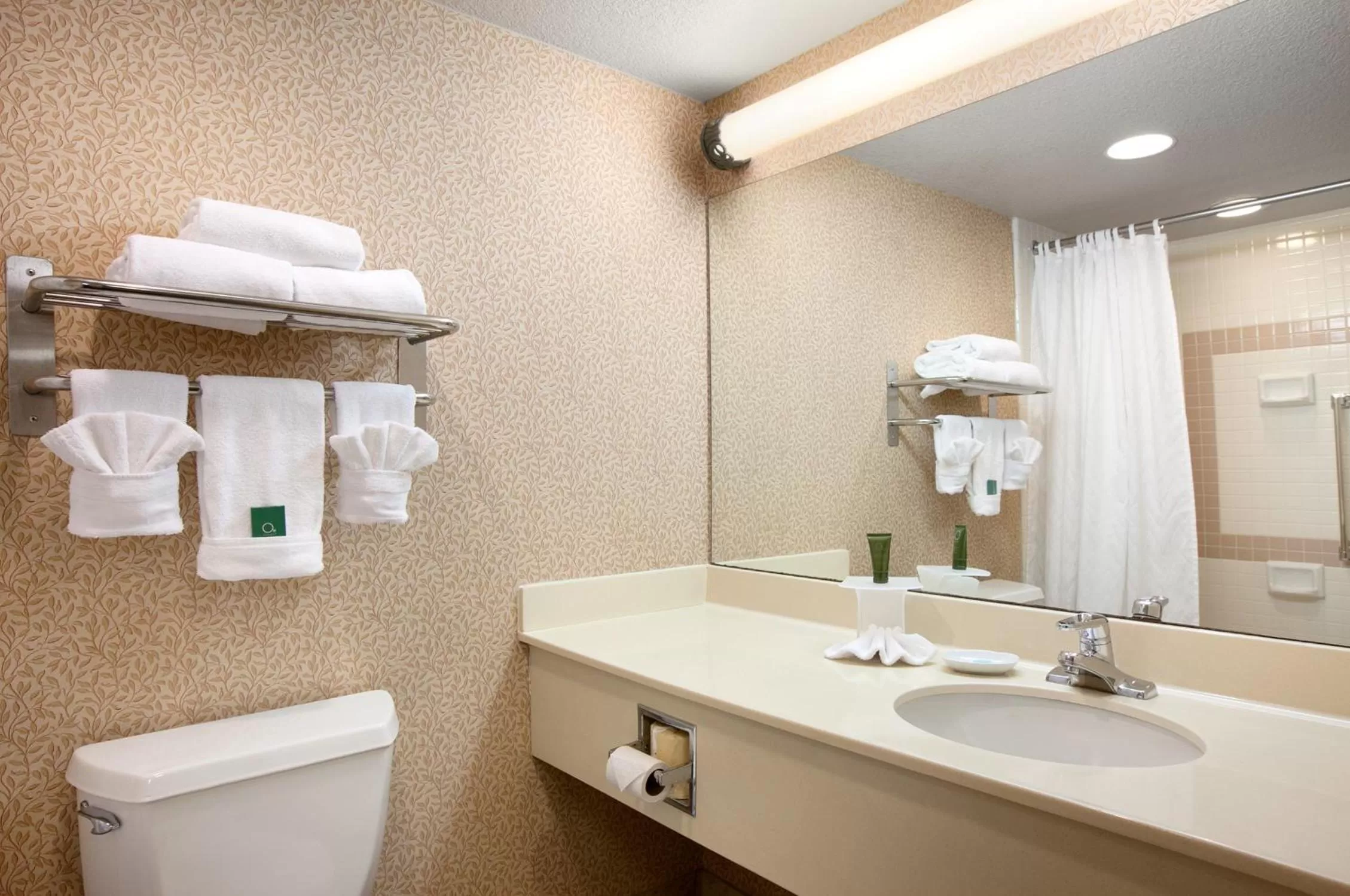 Bathroom in Capitol Plaza Hotel Jefferson City