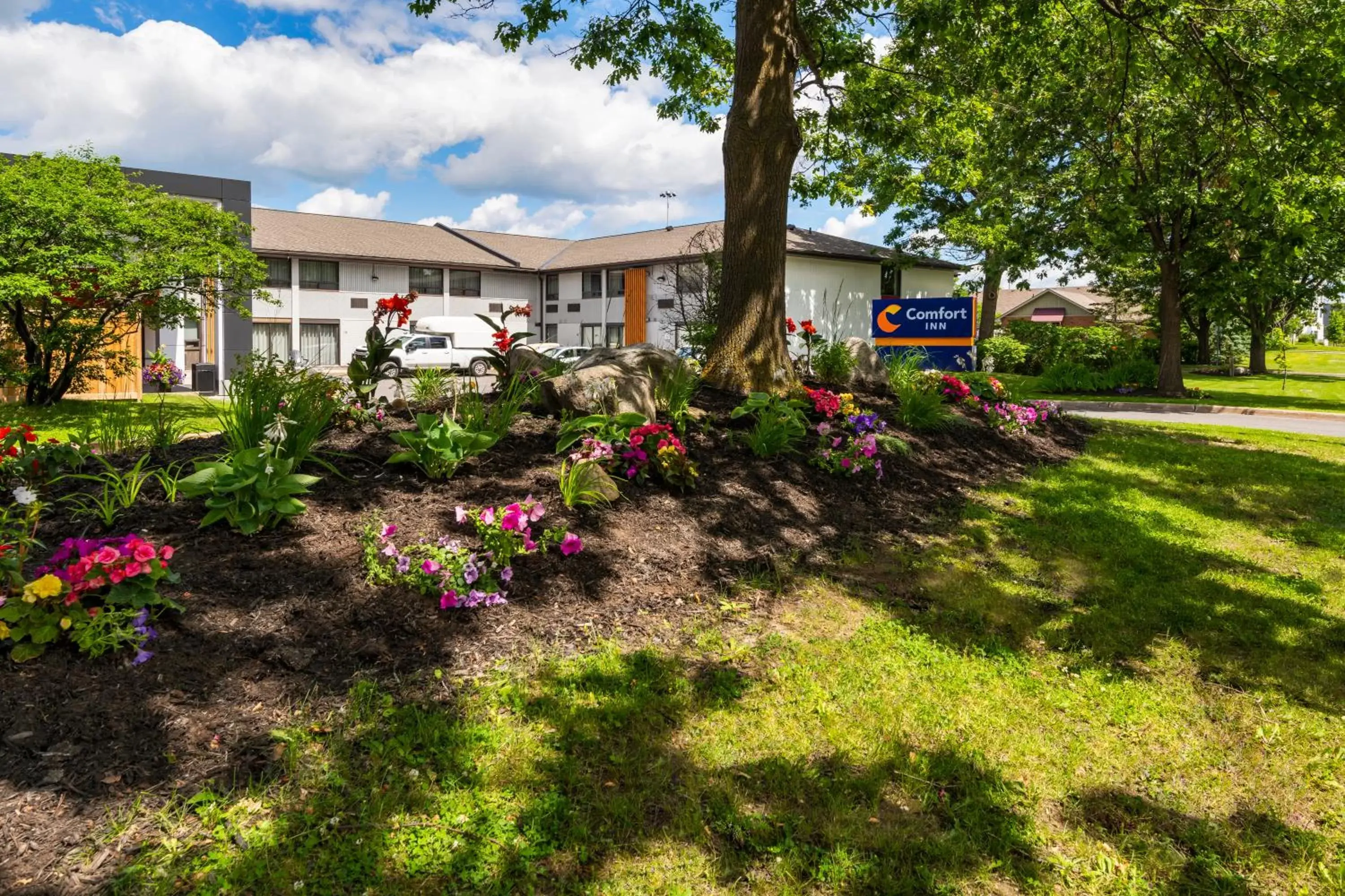 Garden, Property Building in Comfort Inn Ottawa West- Kanata