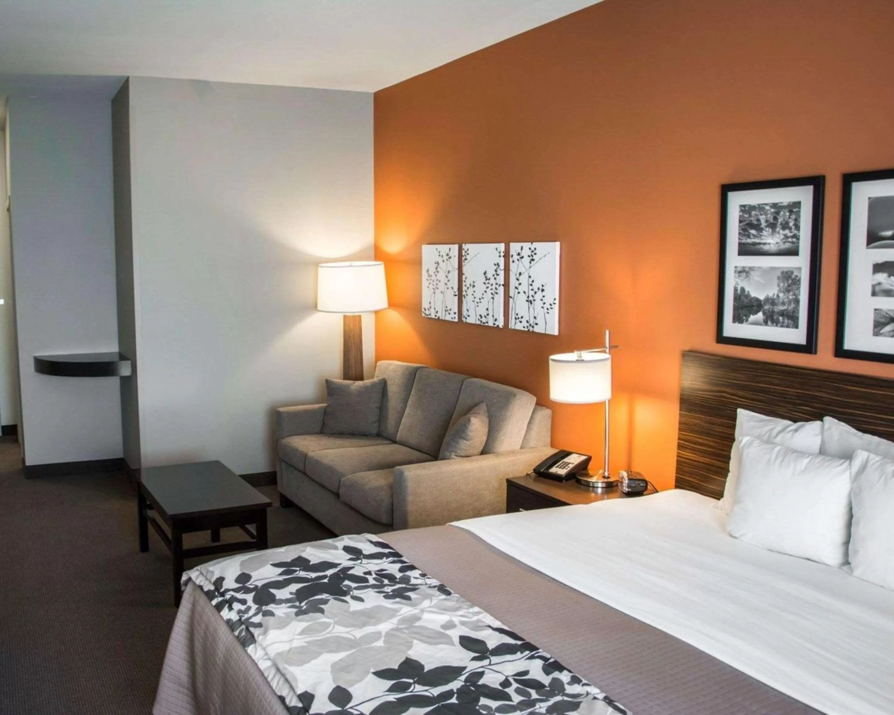 Photo of the whole room, Bed in Sleep Inn & Suites Shreveport near Medical Center