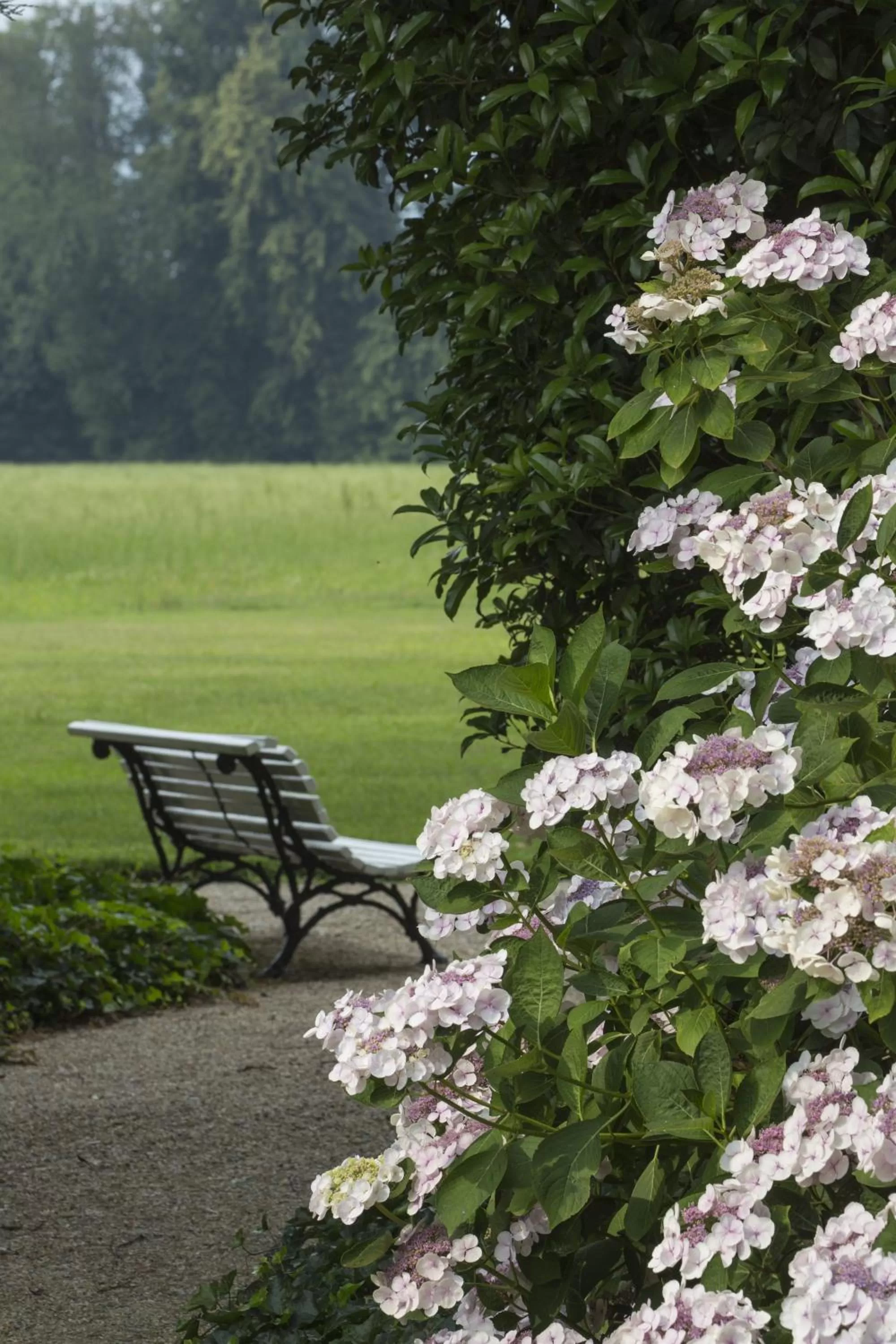Garden view in Agriturismo Il Torrione