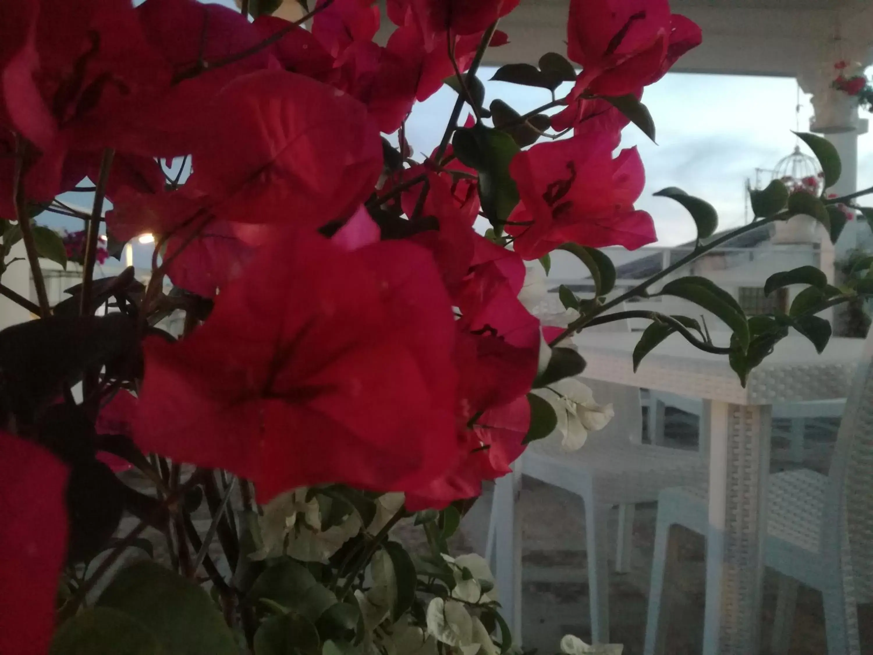 Triple Room with Balcony in Casa del Corso Triple Room with Balcony in Casa del Corso