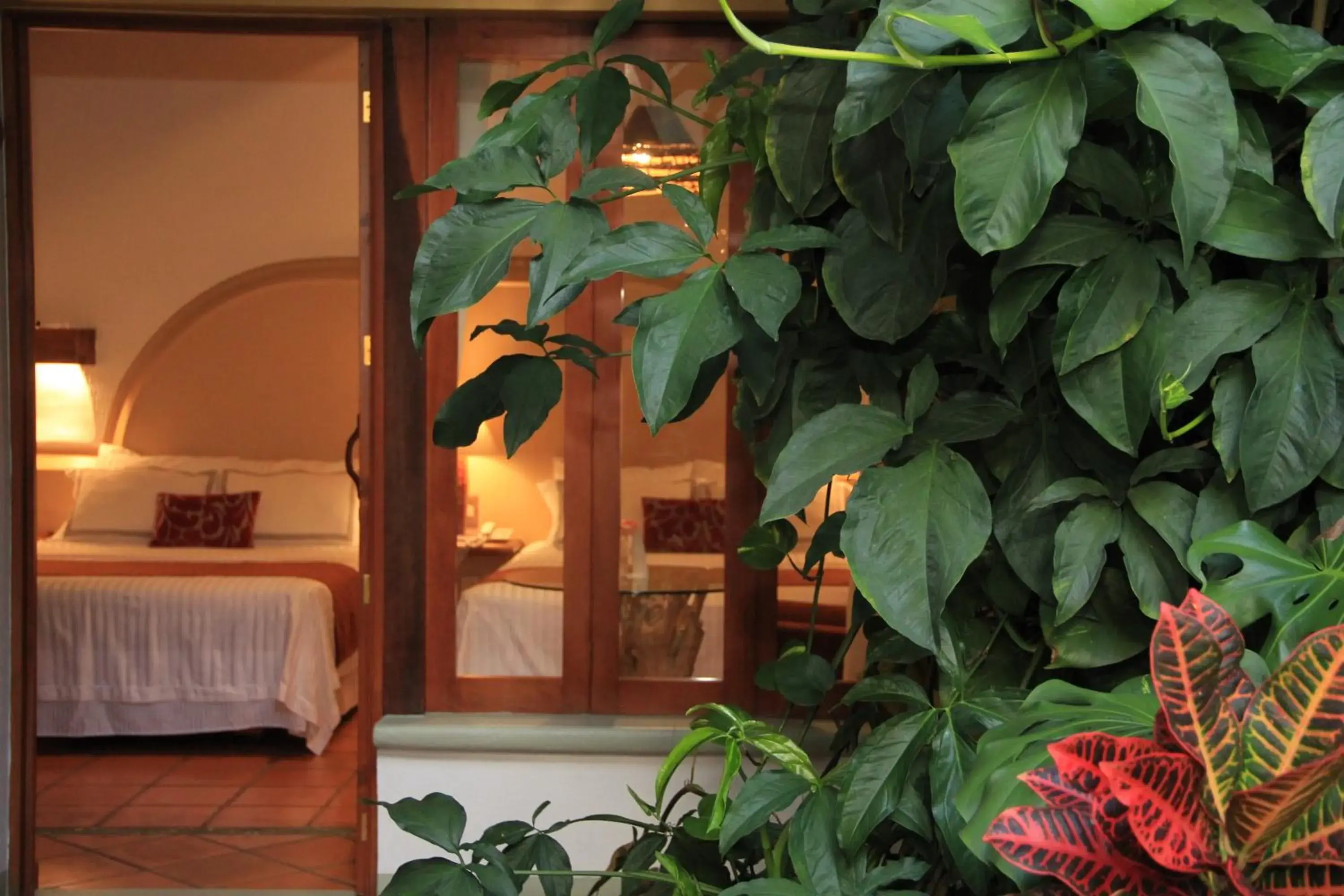 Garden, Facade/Entrance in Hotel Casa Vertiz